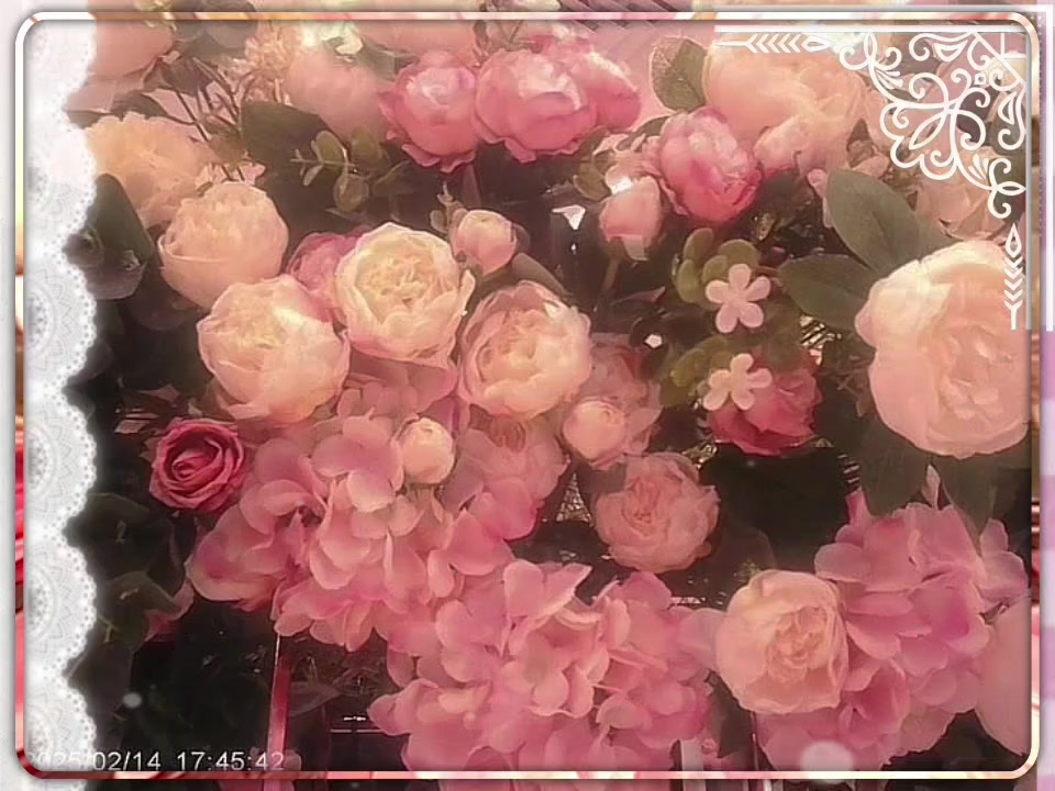 @🦷✘ᥬLAND⃠ᵃⁿᵈₒₙₑ⏤͟͟͞͞➩𝄞#хксн