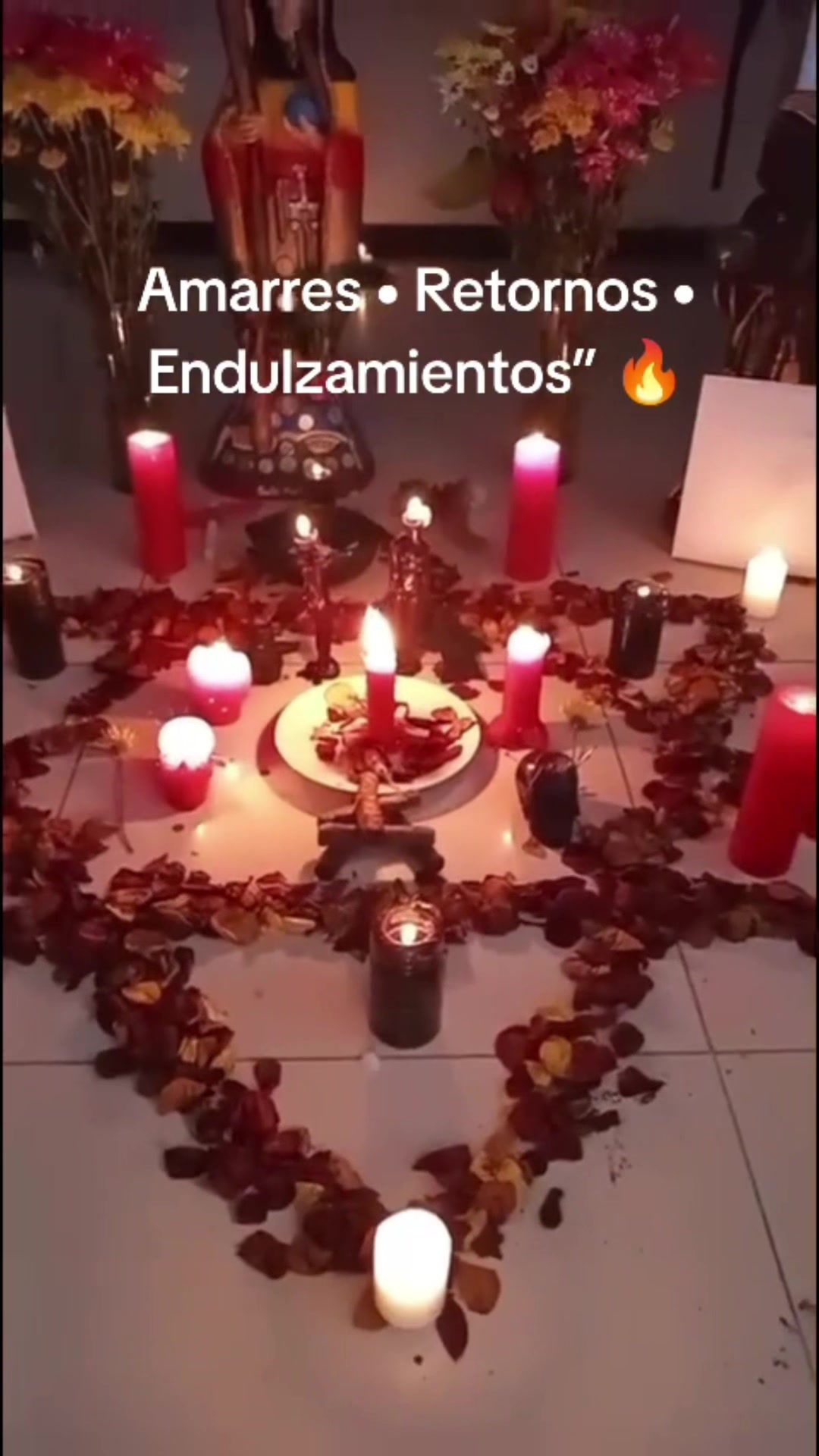 @brujamayor20262