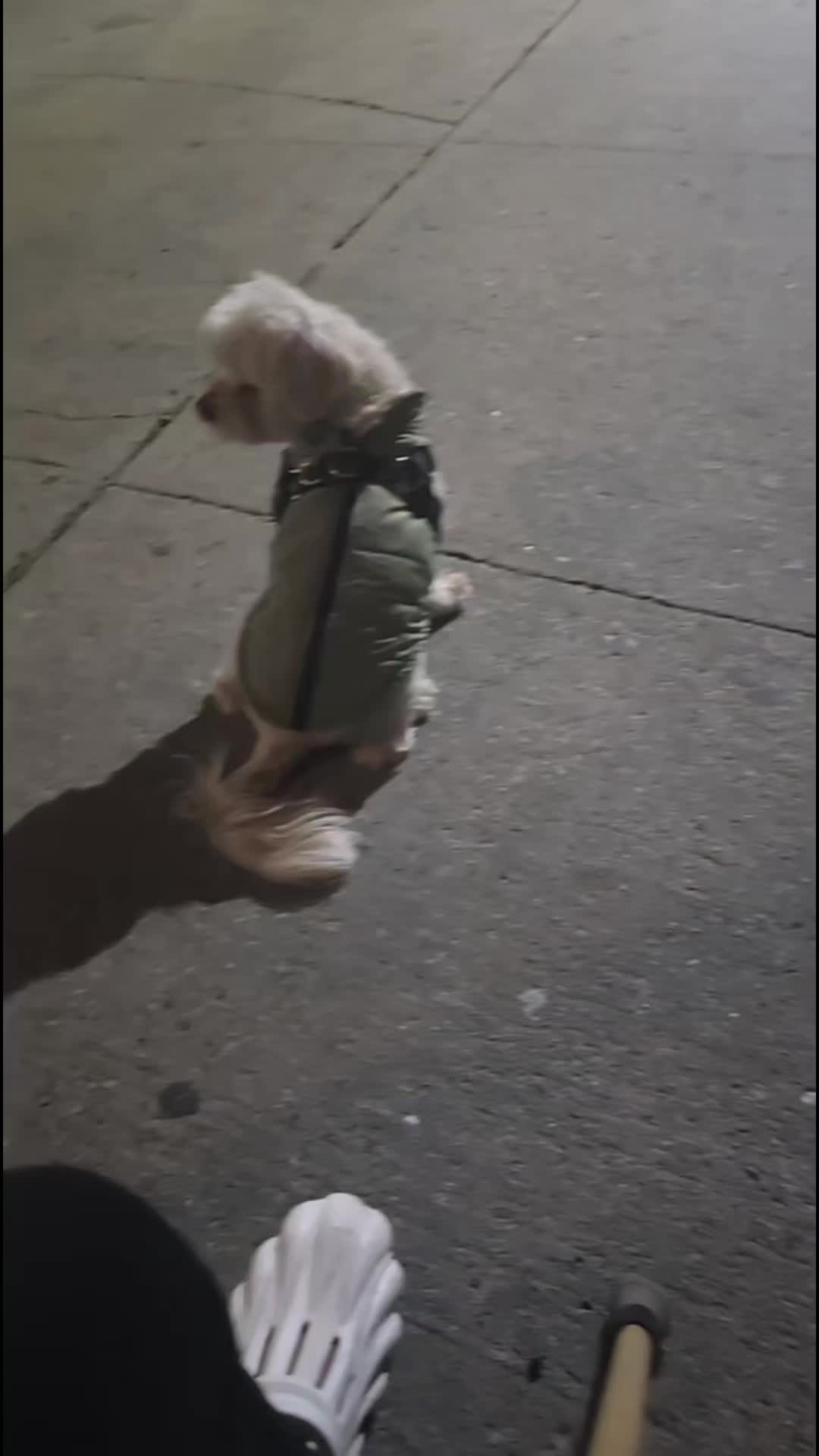 @𝐶𝐻𝐼𝑀𝐴𝐷𝑂𝑅