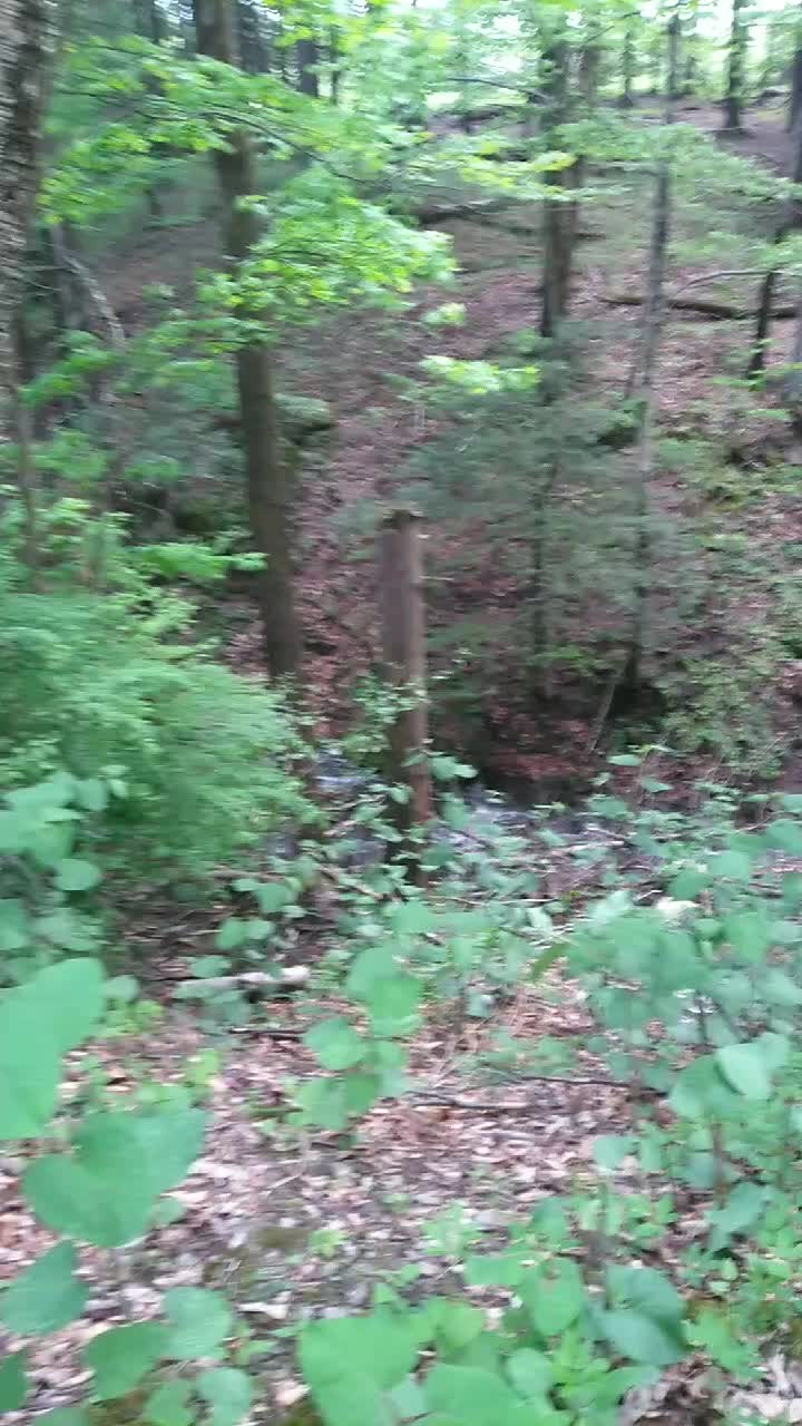 @thegoodnoise11
