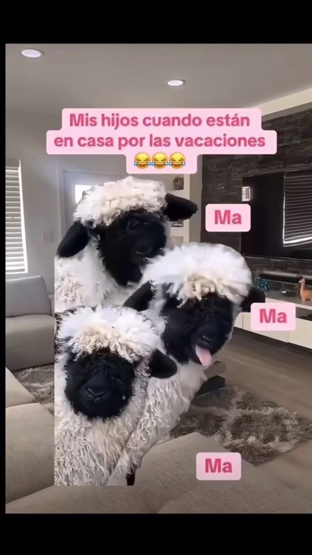 @💛Bonita_Girasol91