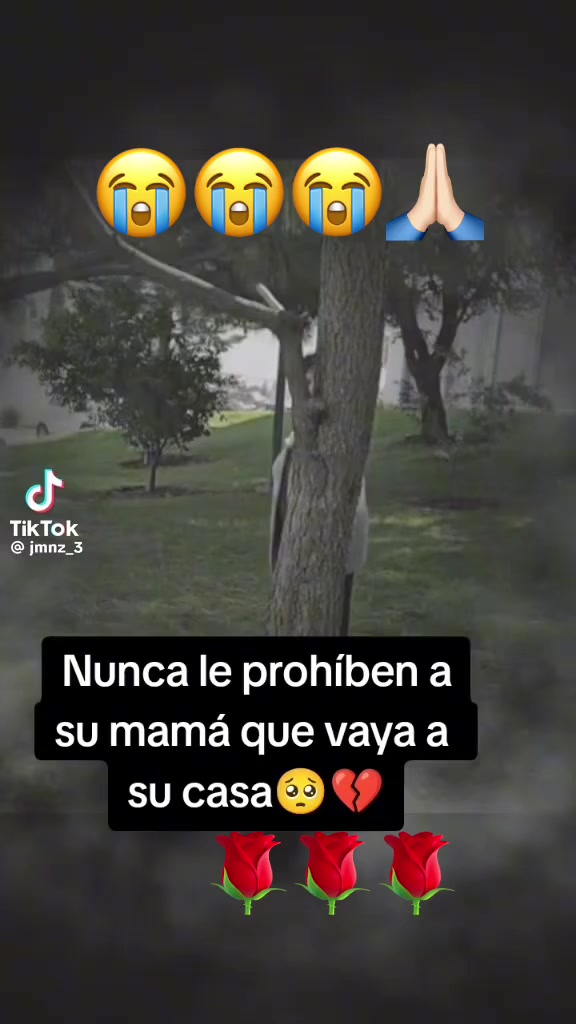@joseRoss45