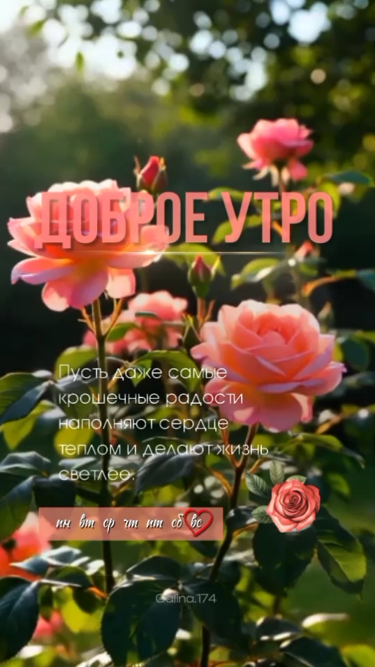 @𝙶𝚊𝚕𝚒𝚗𝚊.𝟷𝟽𝟺