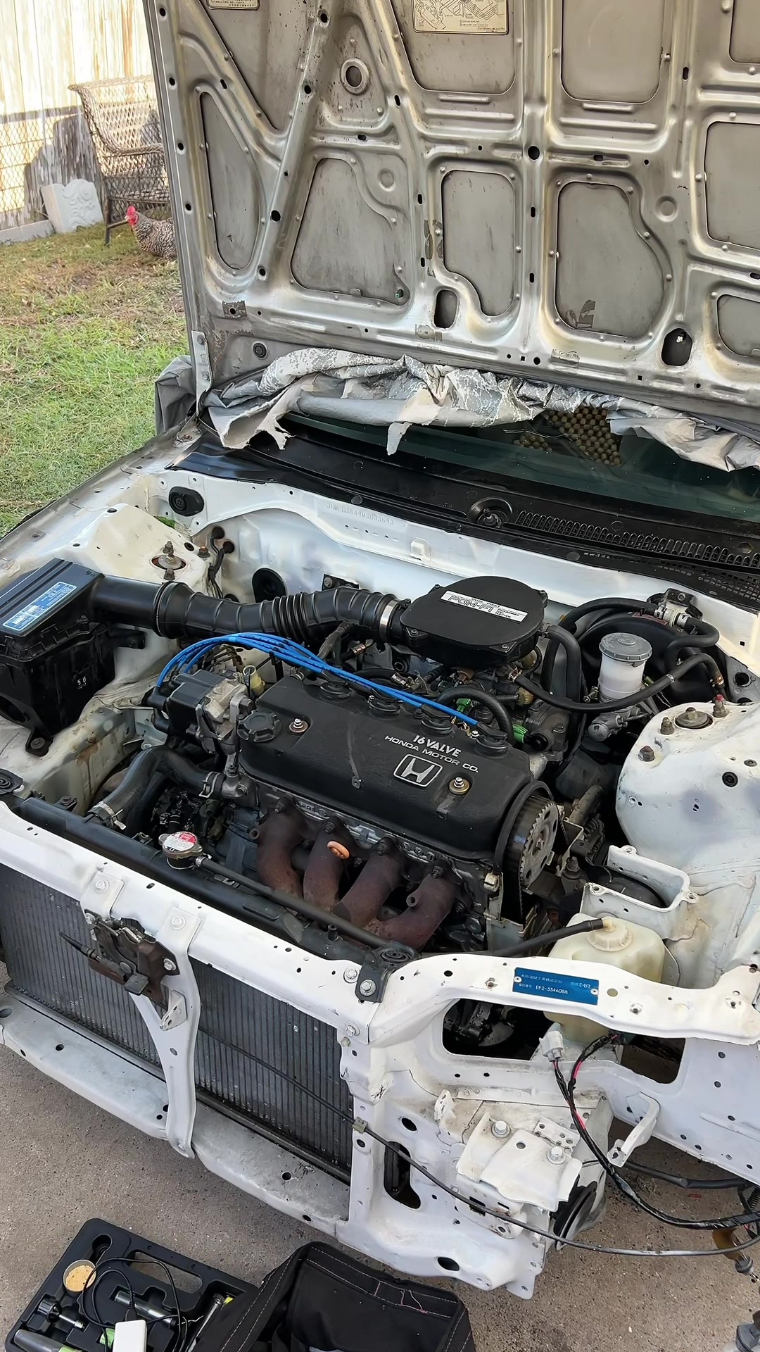 @txefsedan91
