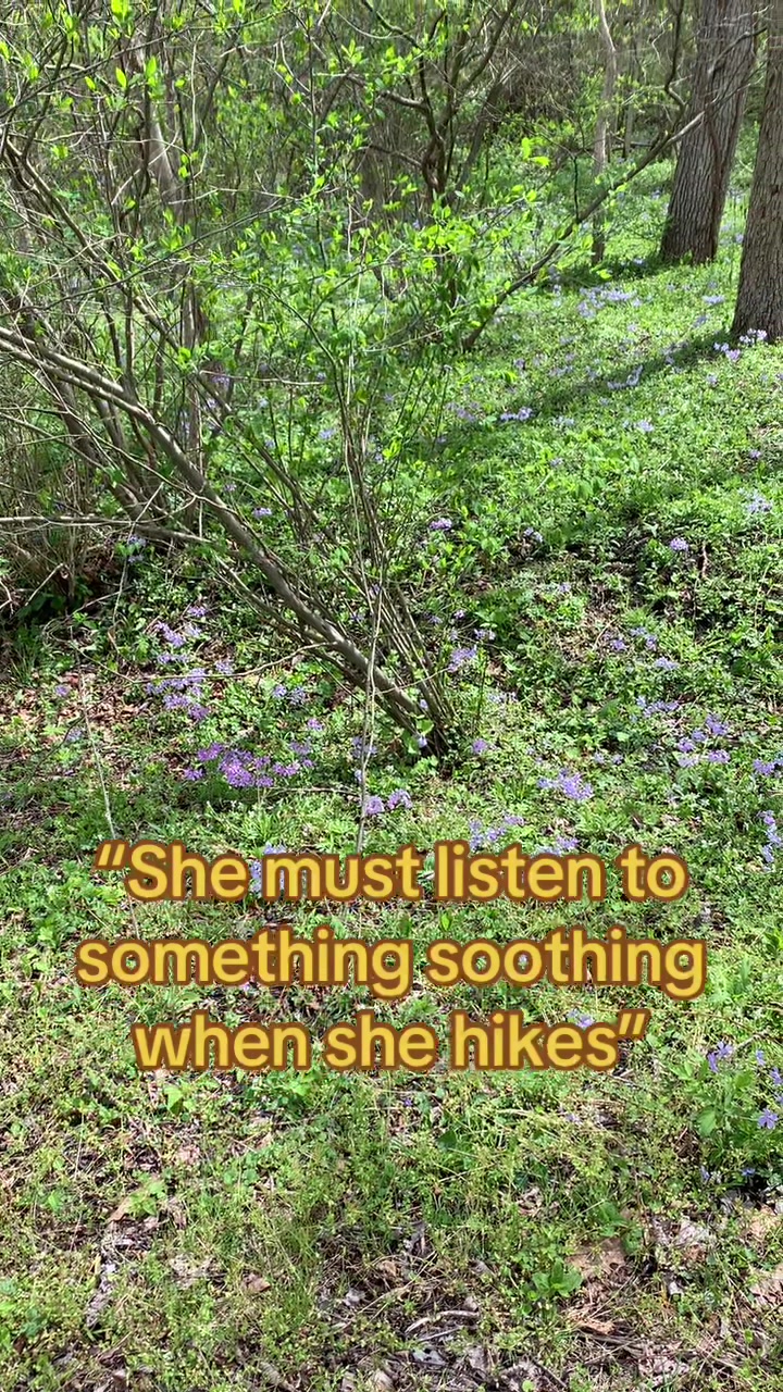 @🌿 Linds