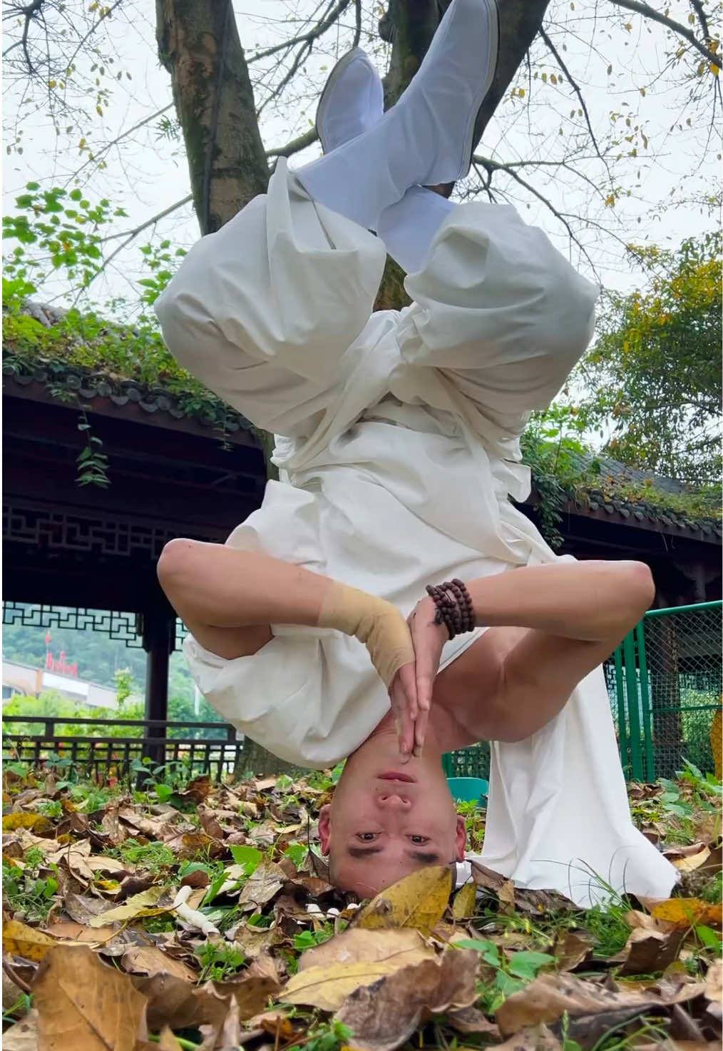 @ShaolinNextGen