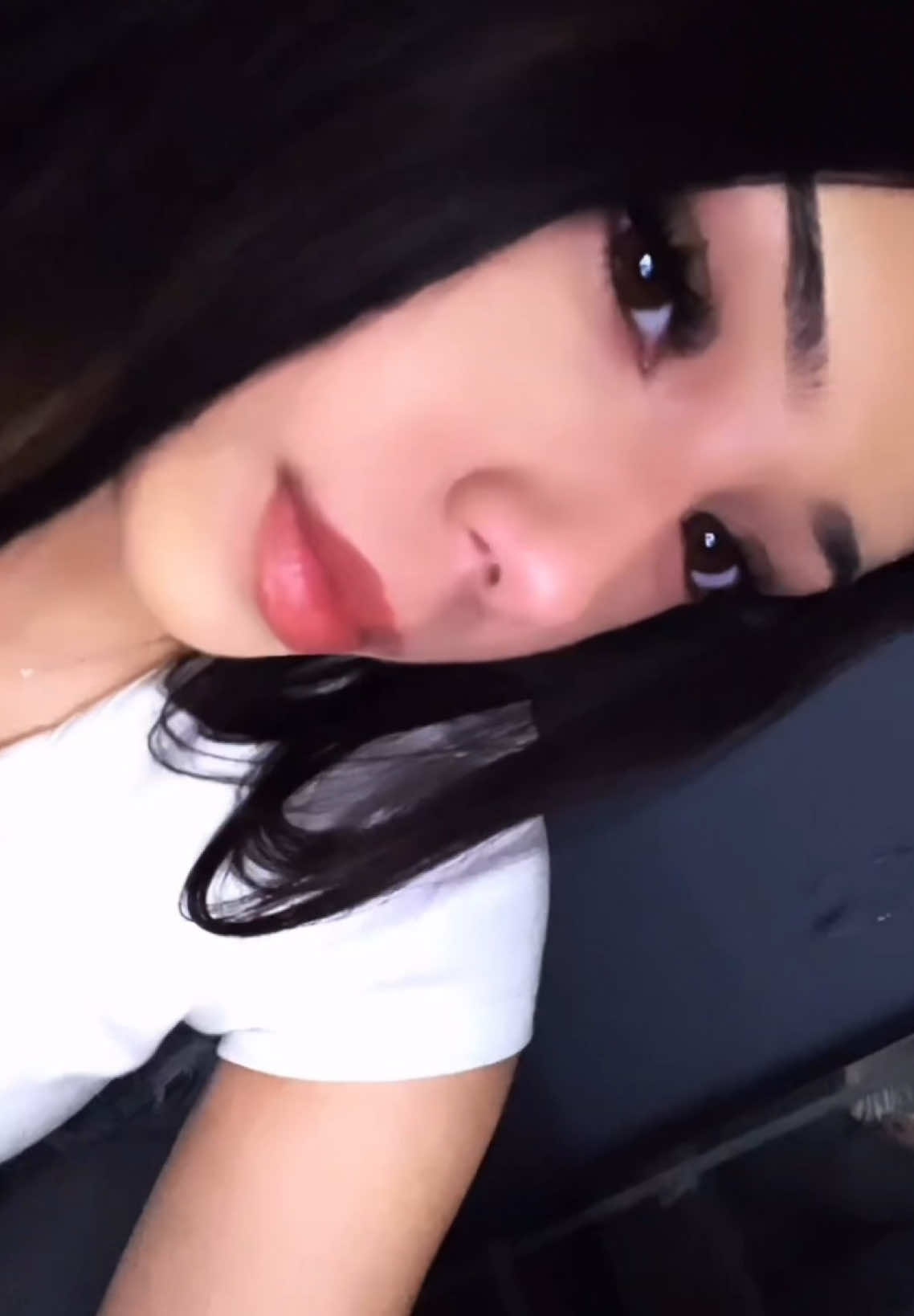 @≽^• ˕ • ྀི≼