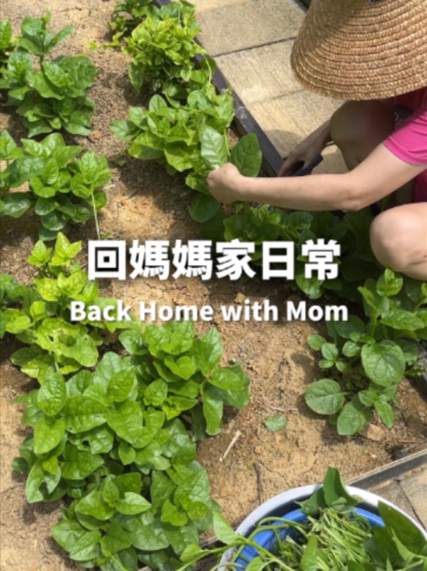 @桃漂屁屁雅