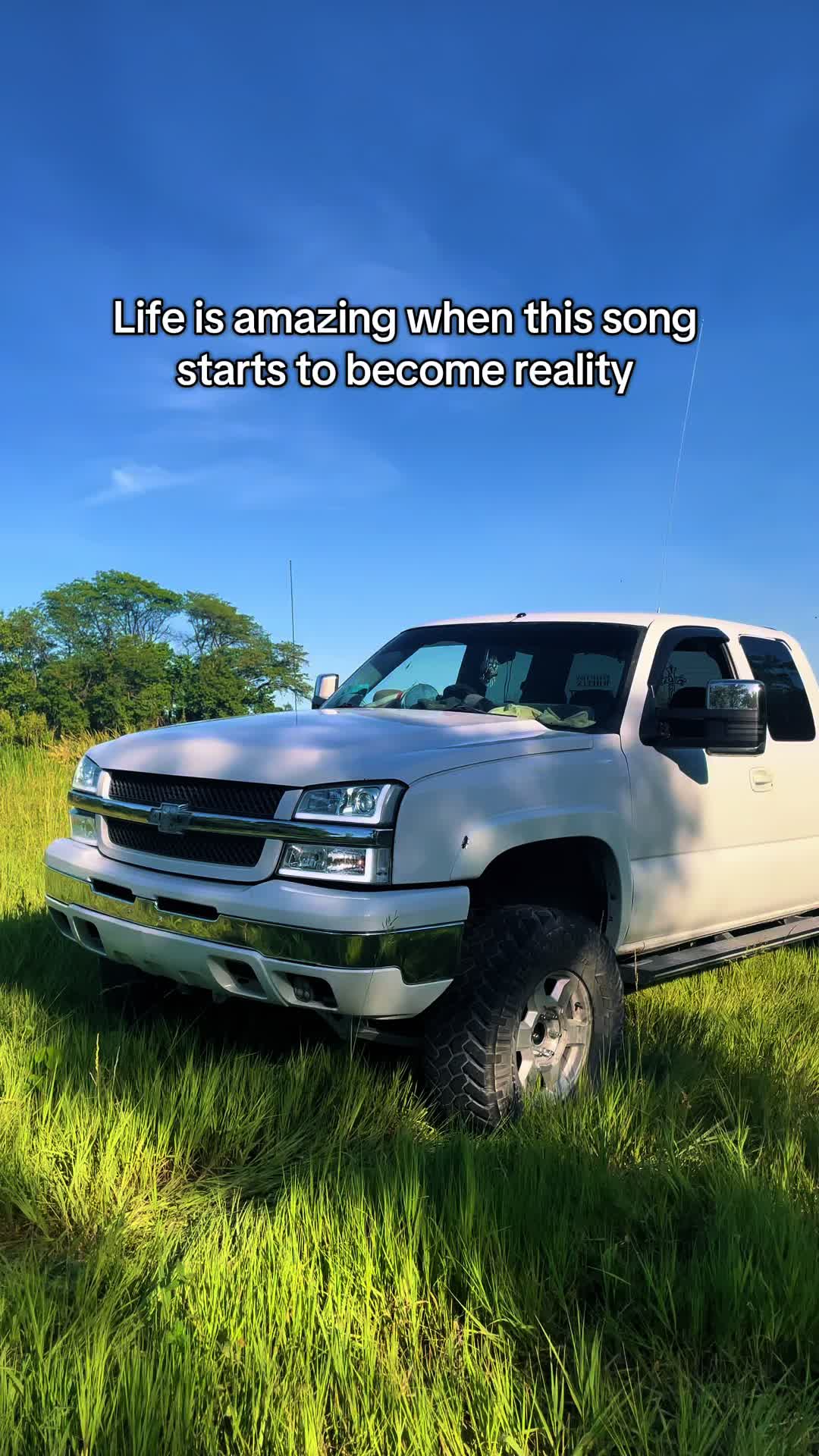 @06_whitecateye