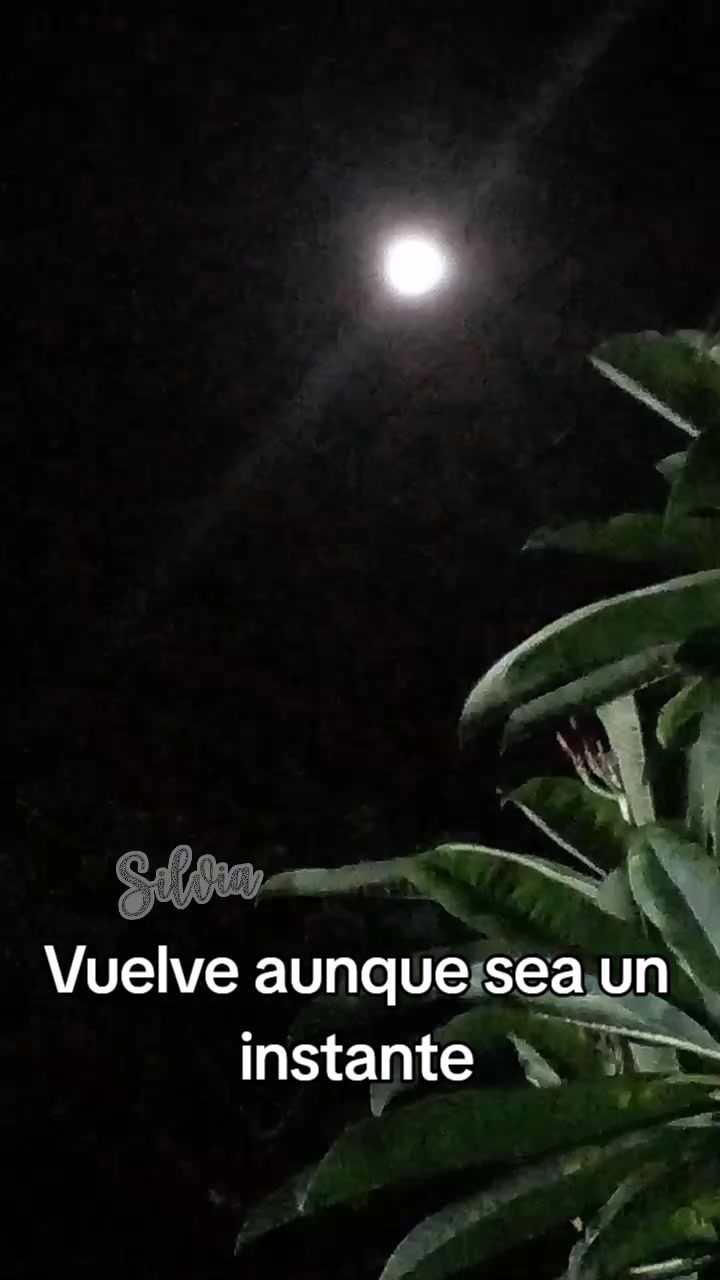 @Silvia BinAroha