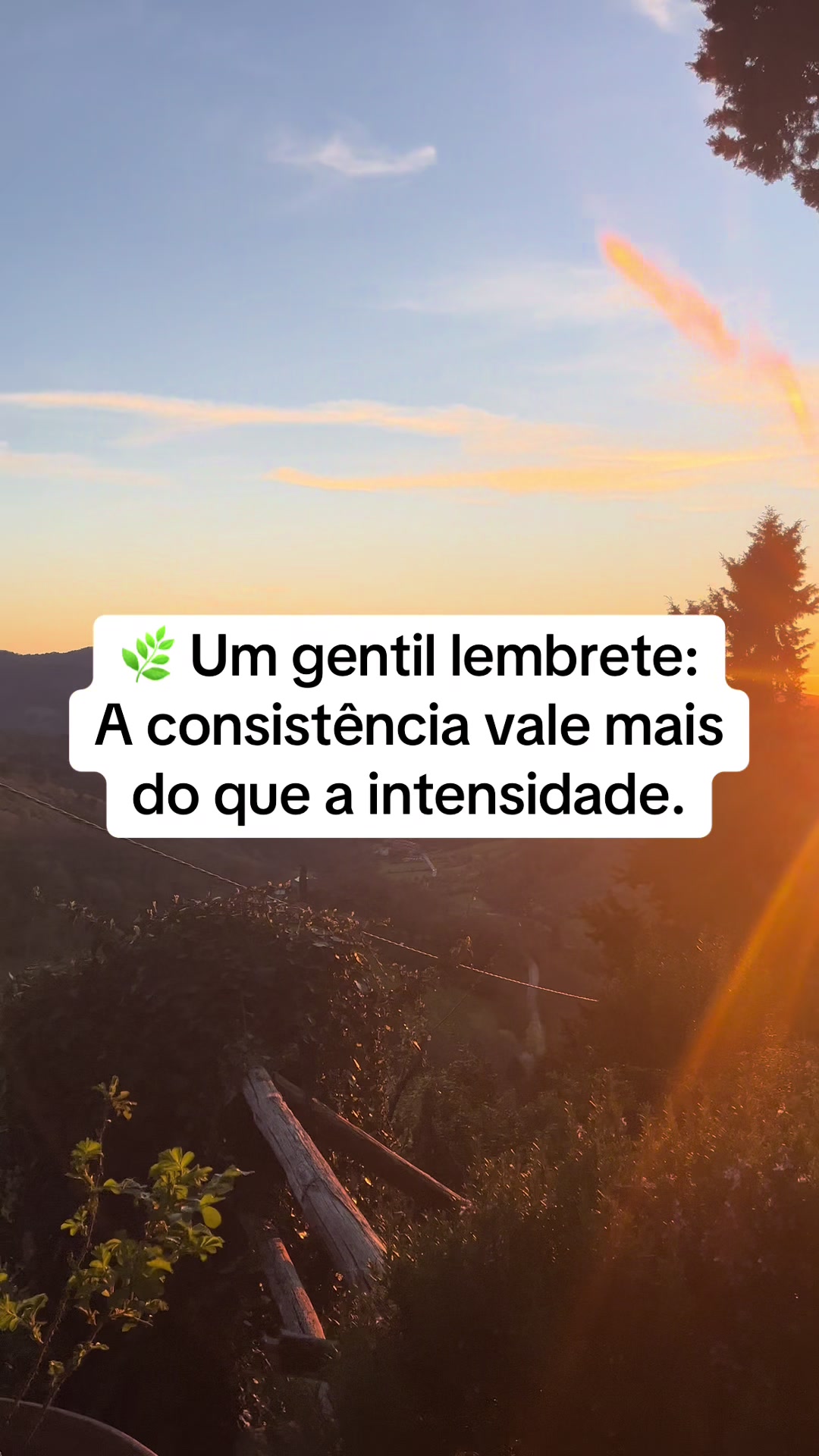 @Vanessa E. Santos | Terapeuta