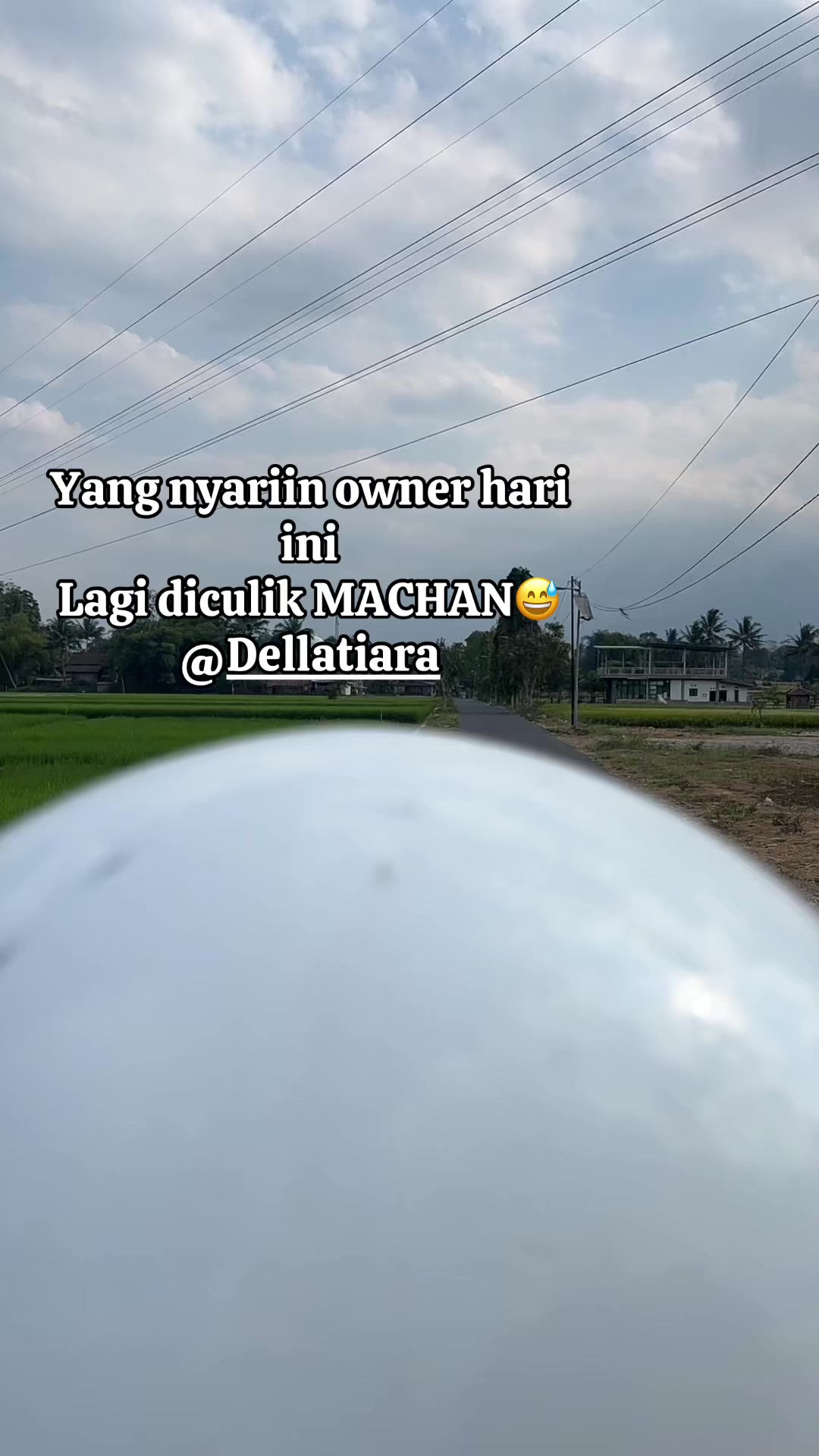 @Arisna