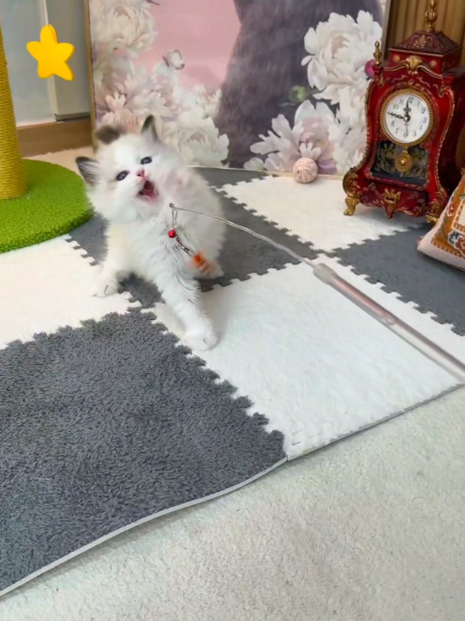 @핑발바닥은 못참는다냥🐱
