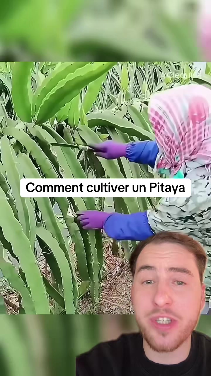 @lucasenparle