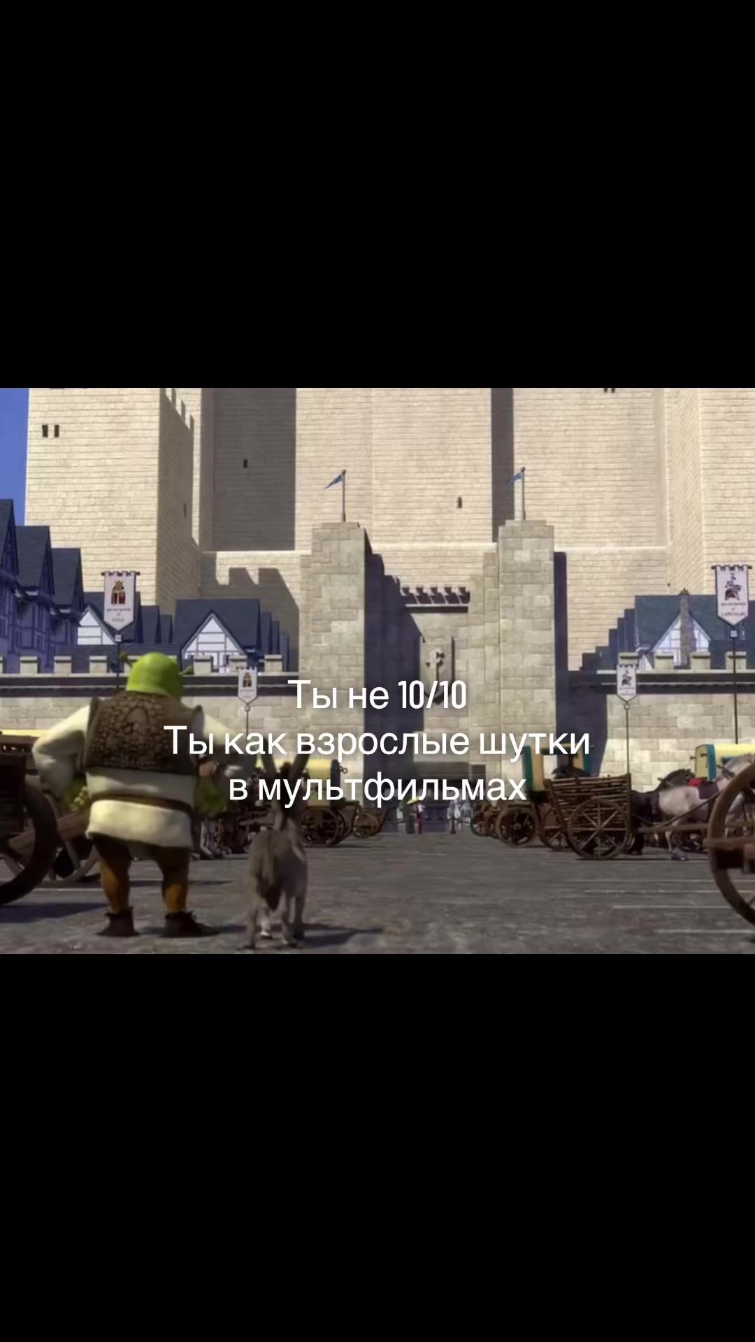 @blueberry|голубика🫐