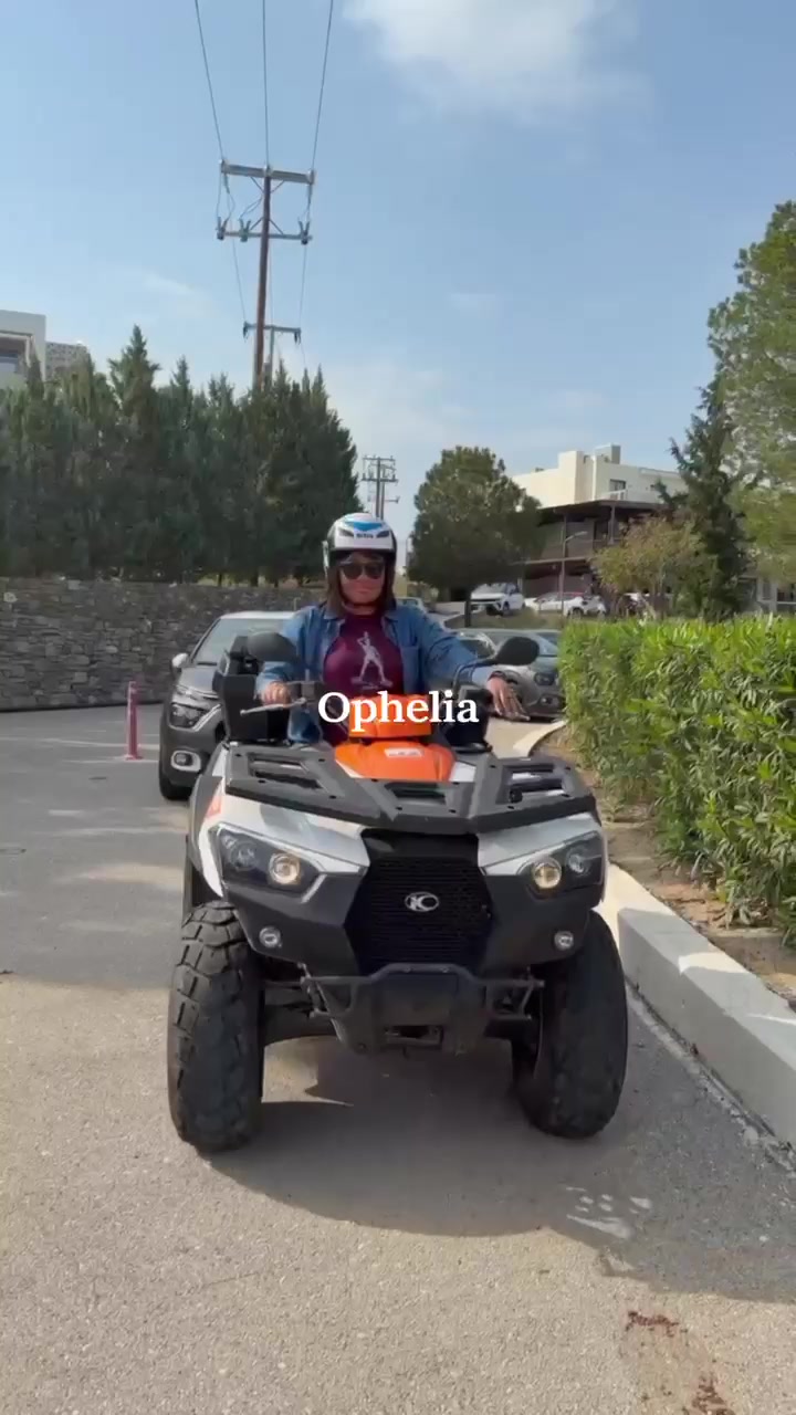@Shulie