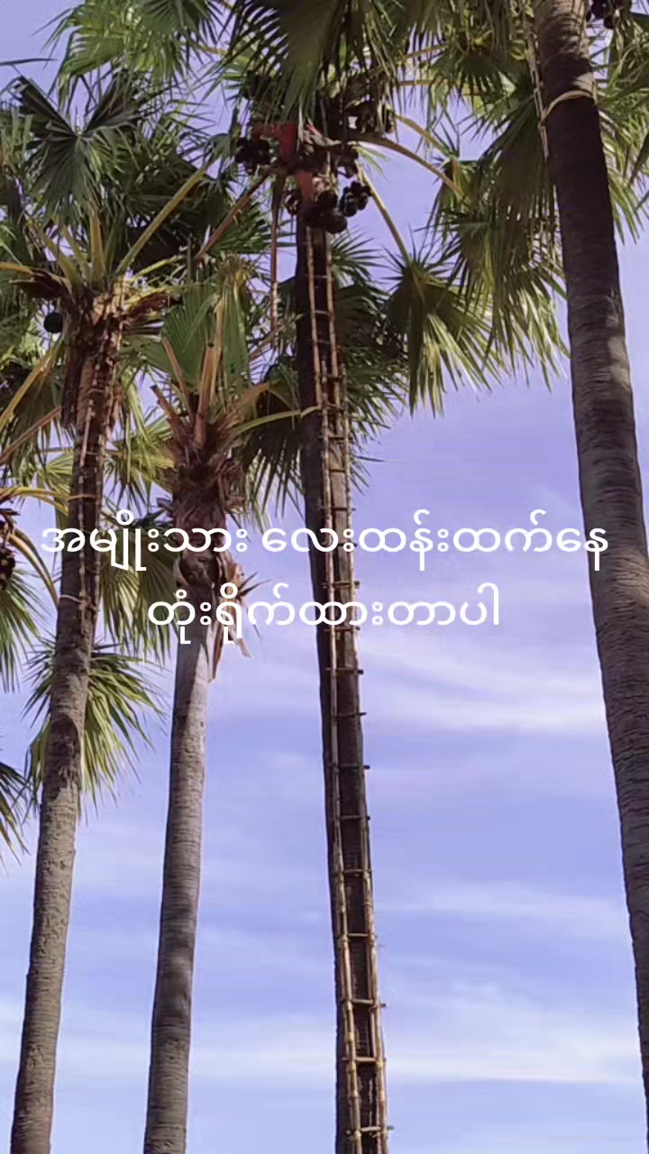 @Khat Khat