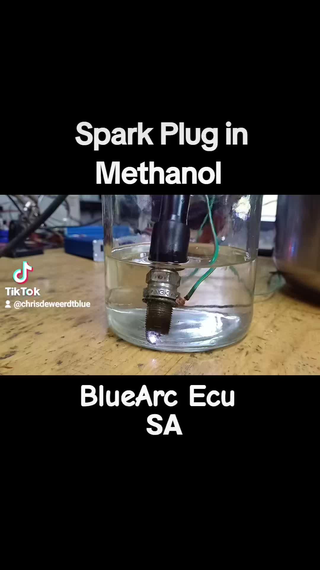 @BlueArc Ecu South Africa