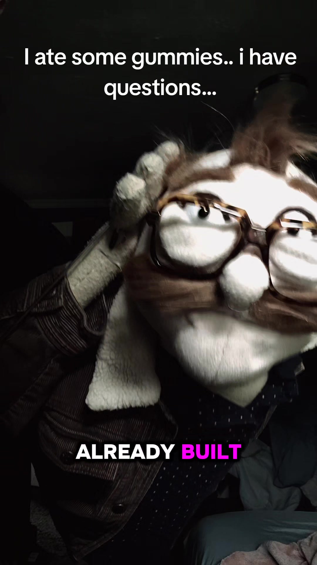 @Dailydoseofpuppetcomedy