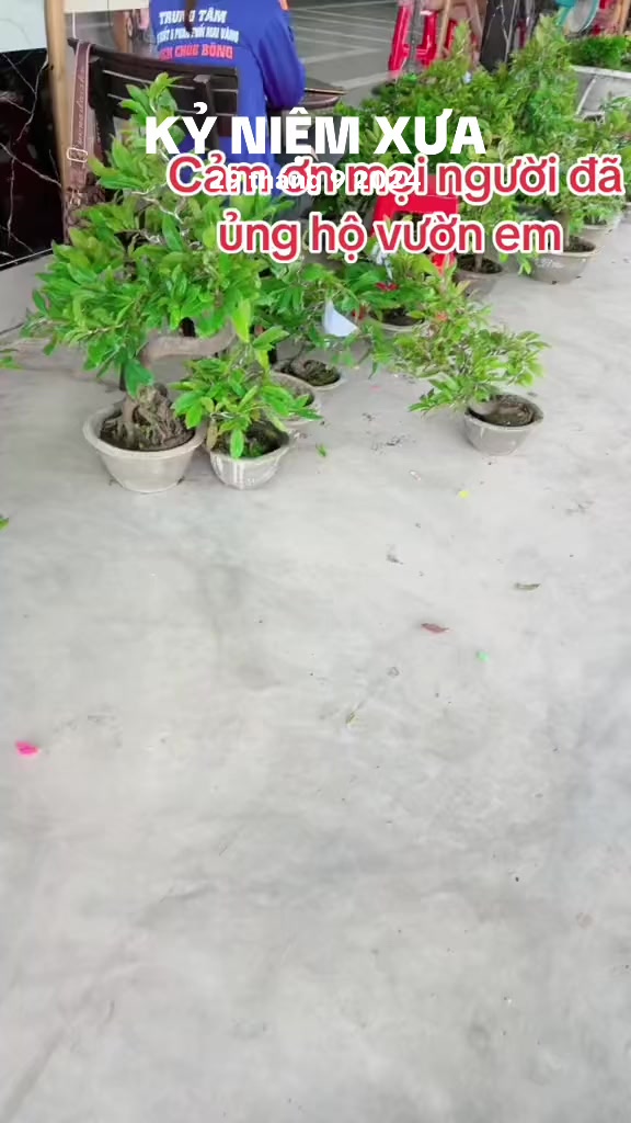 @Chichchoebong79