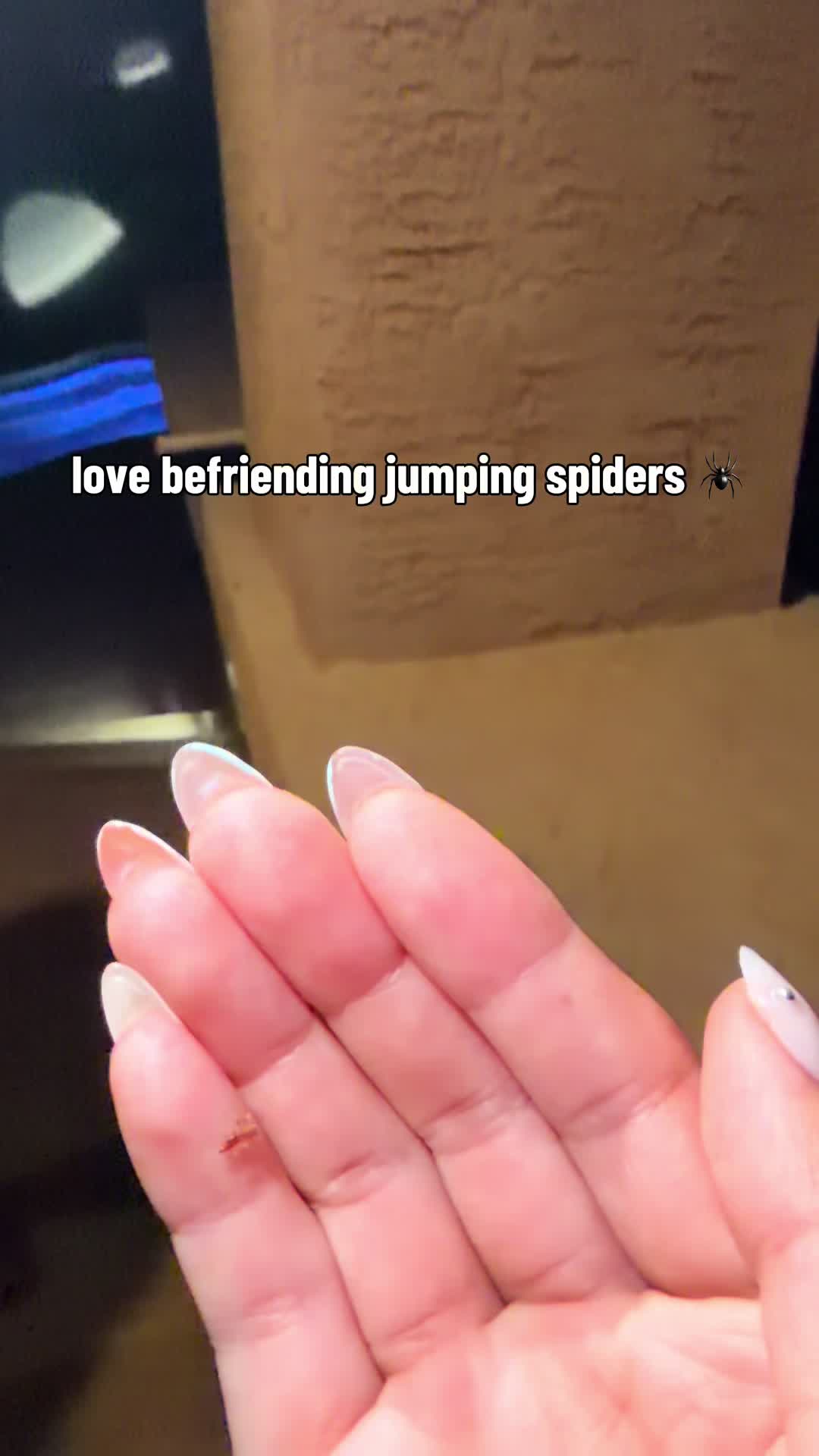 @kai ⋆˙⟡♡