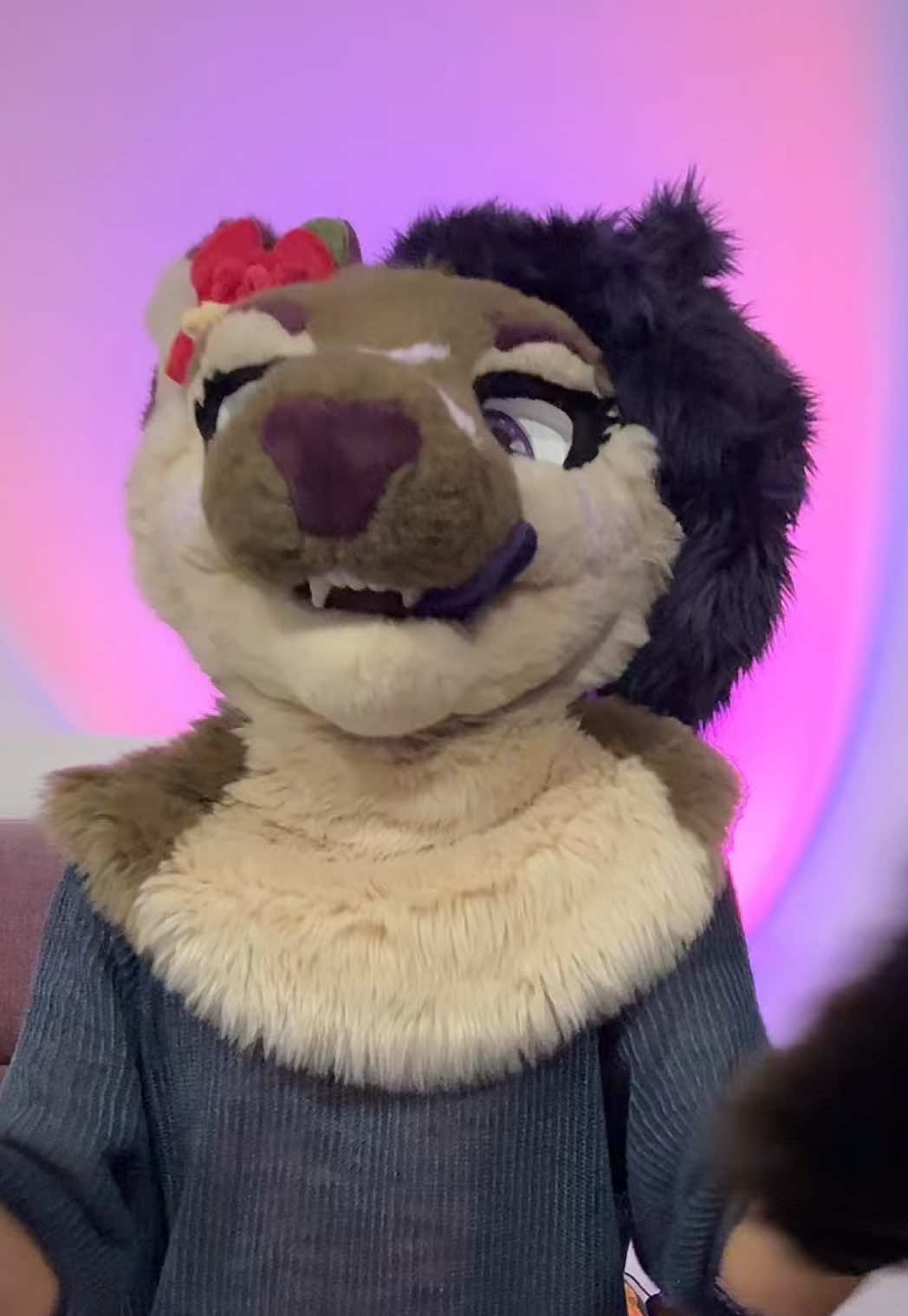 @Riley :3