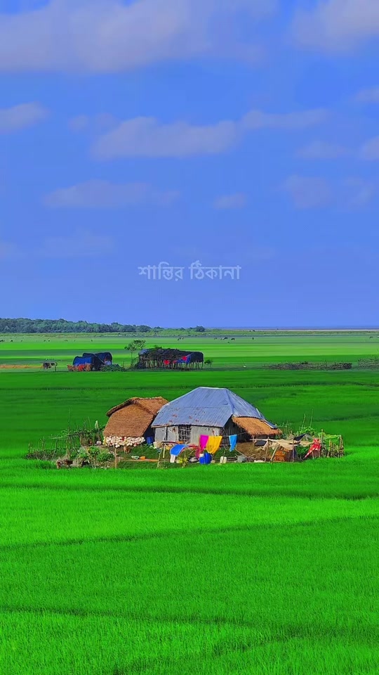 @❤️☘️শেষ পাতা ❤️🩹🍀🥰