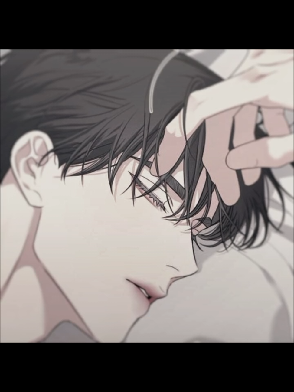 @️Lilies✨