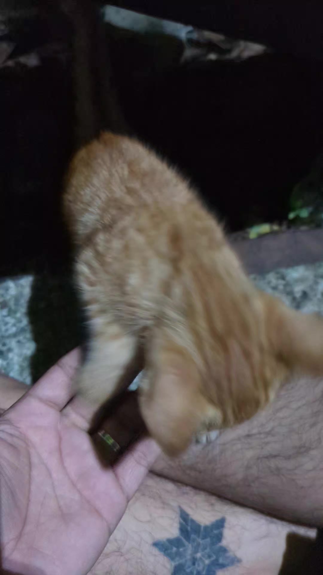 @๐๐๐ค