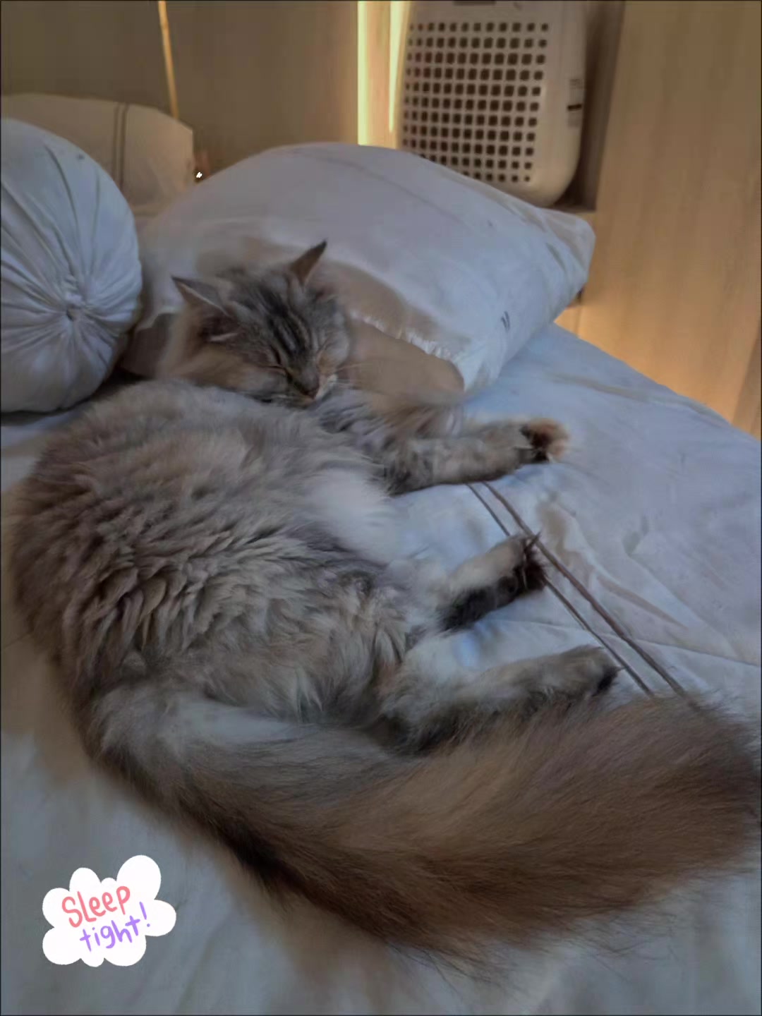 @YeN_KiMi_MiKi