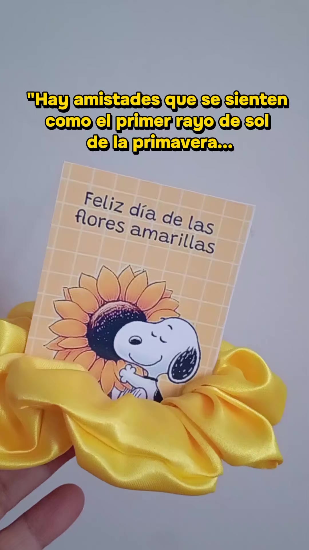 @Bella Baubles AQP accesorios