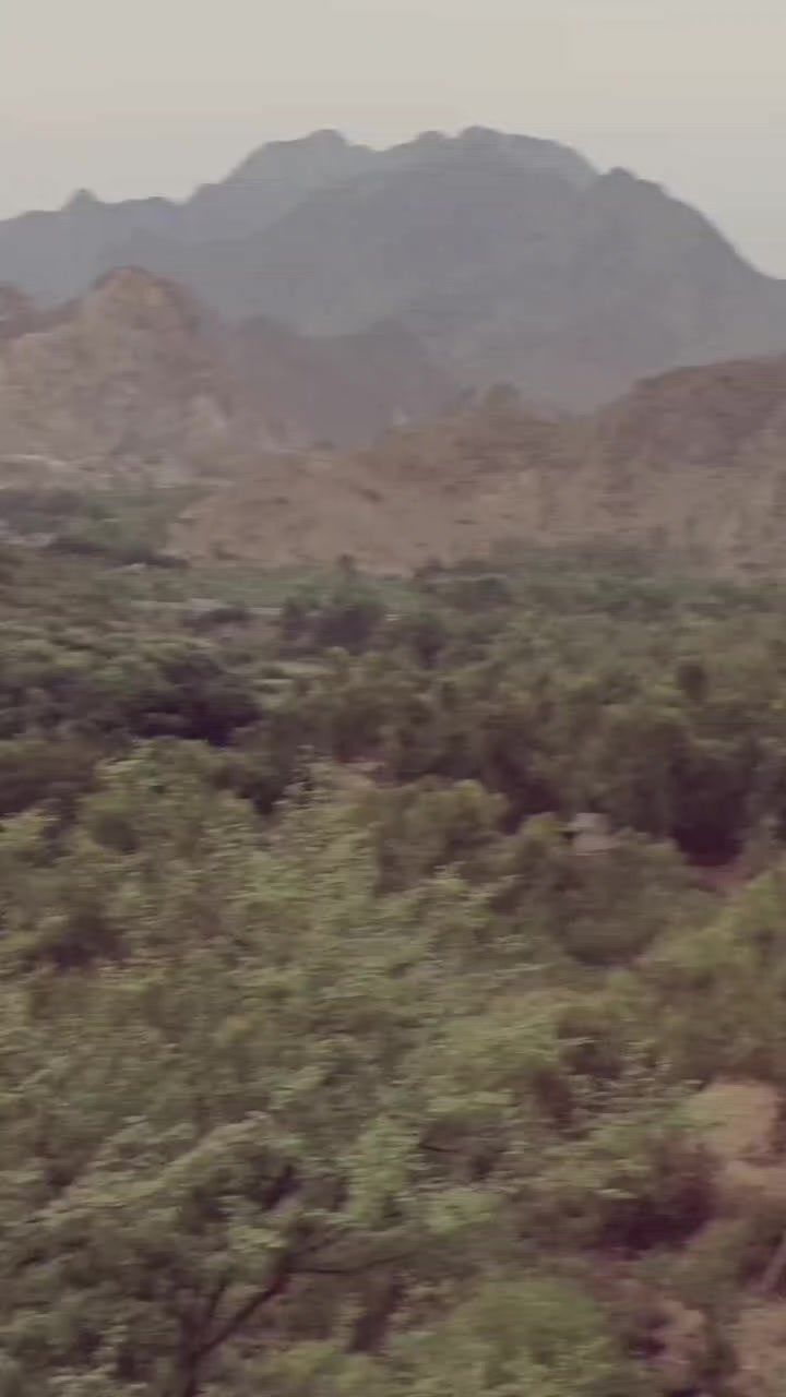 @غنم رنگ Halak