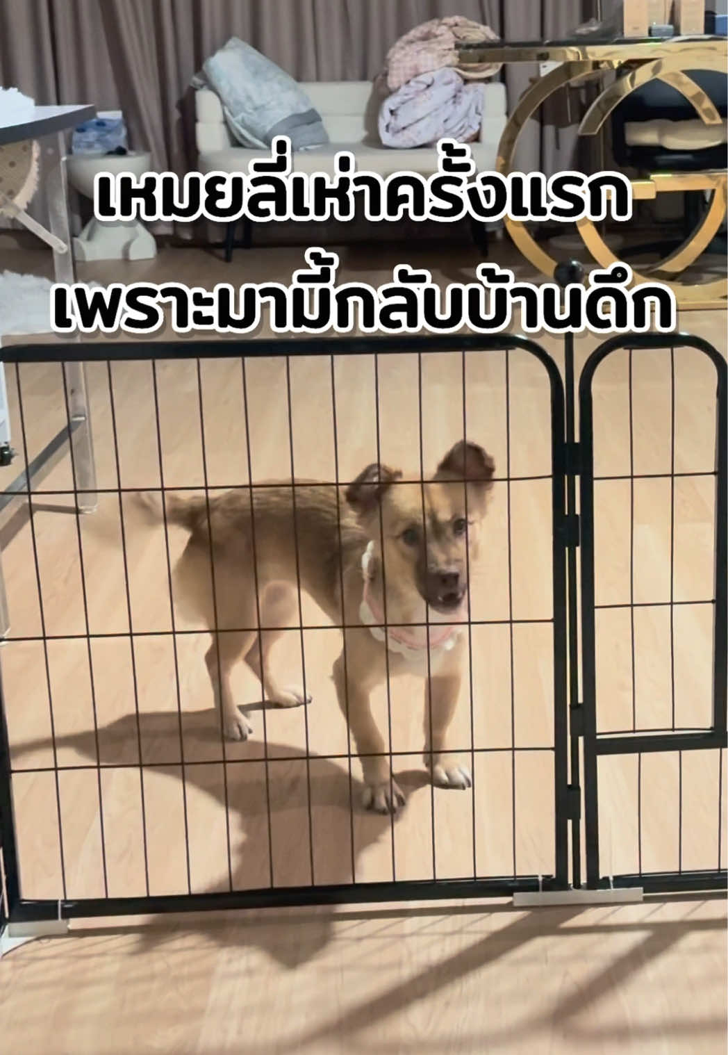 @ฟ้าบาร์บี้ช่องจริง