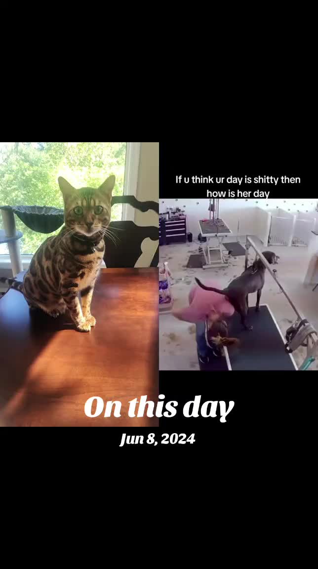 @Shredmaster3000