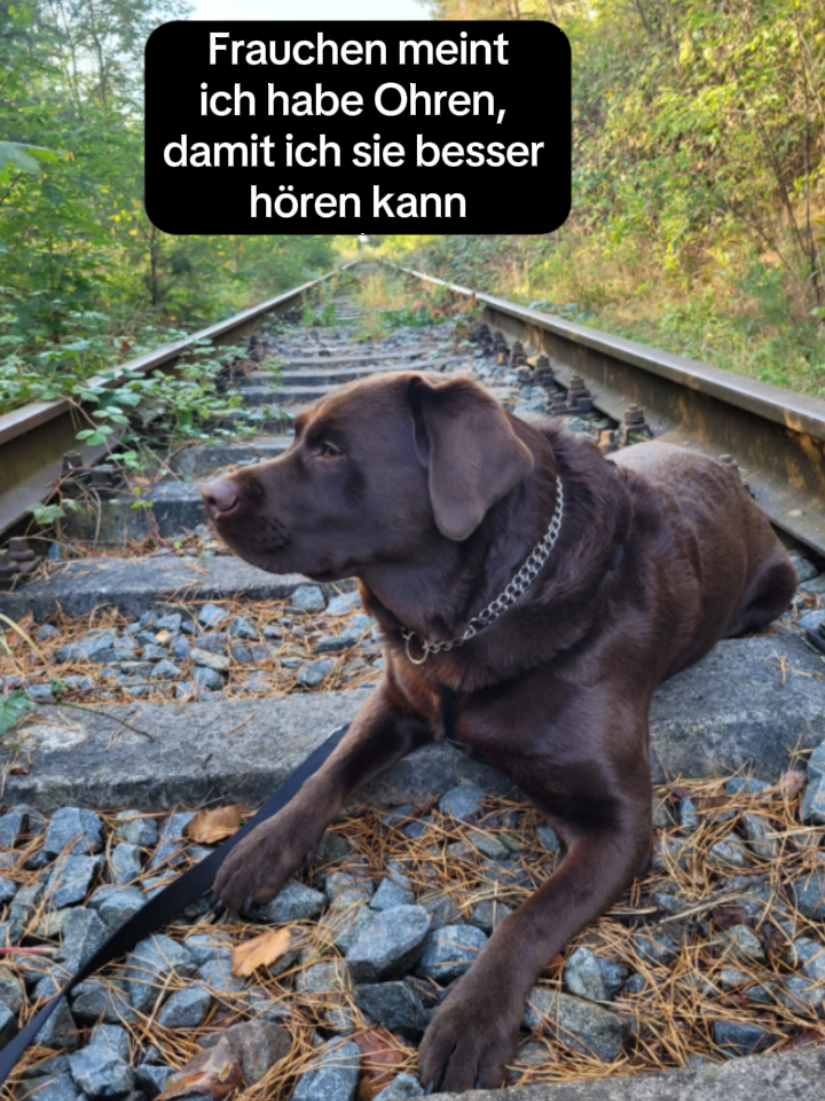 @Xandra mit X & Milo