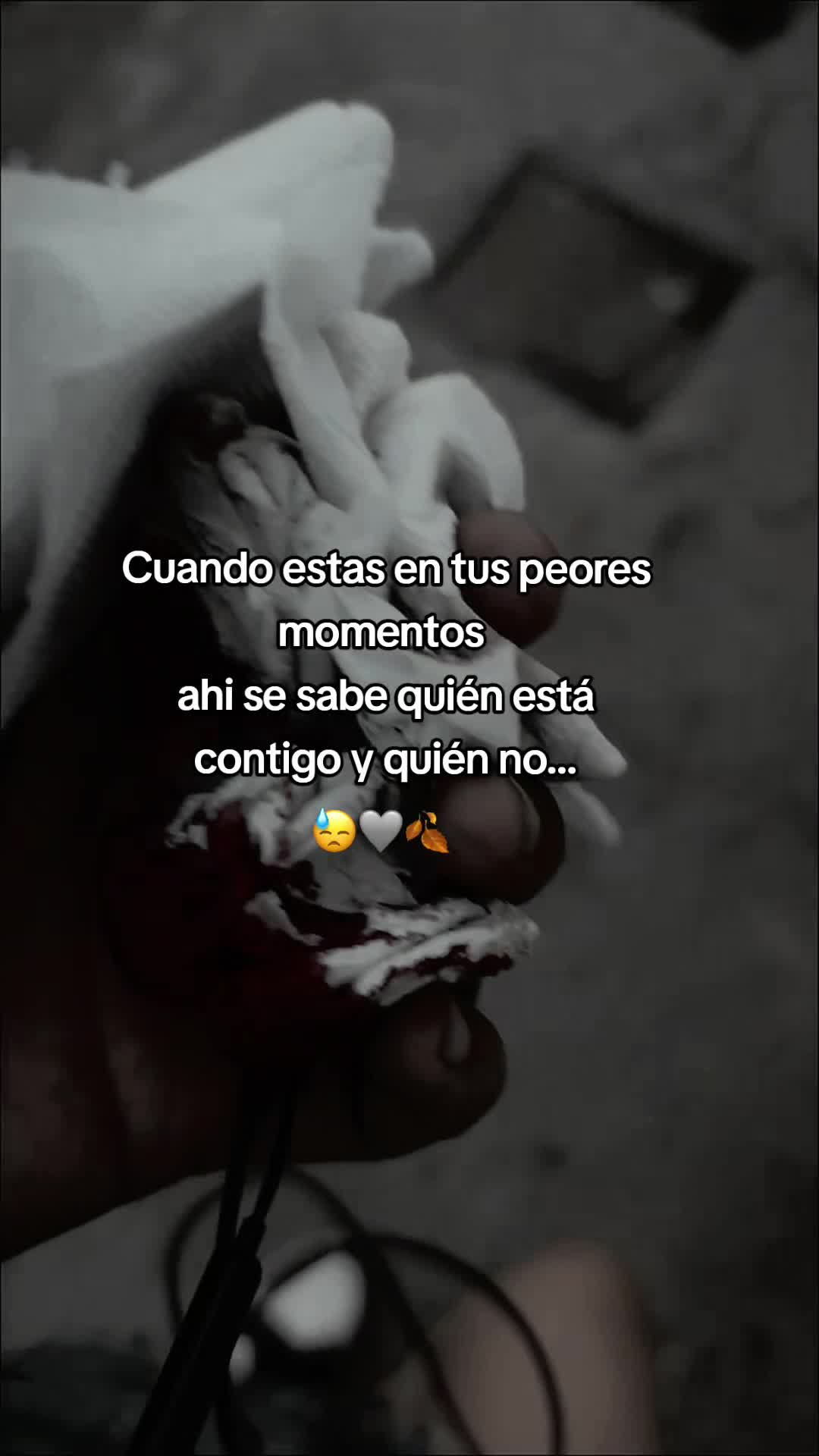 @Lia 🤍
