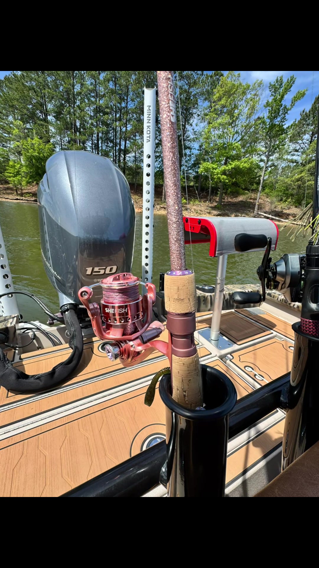 @Gina Ann Southern Harlequin 🎣