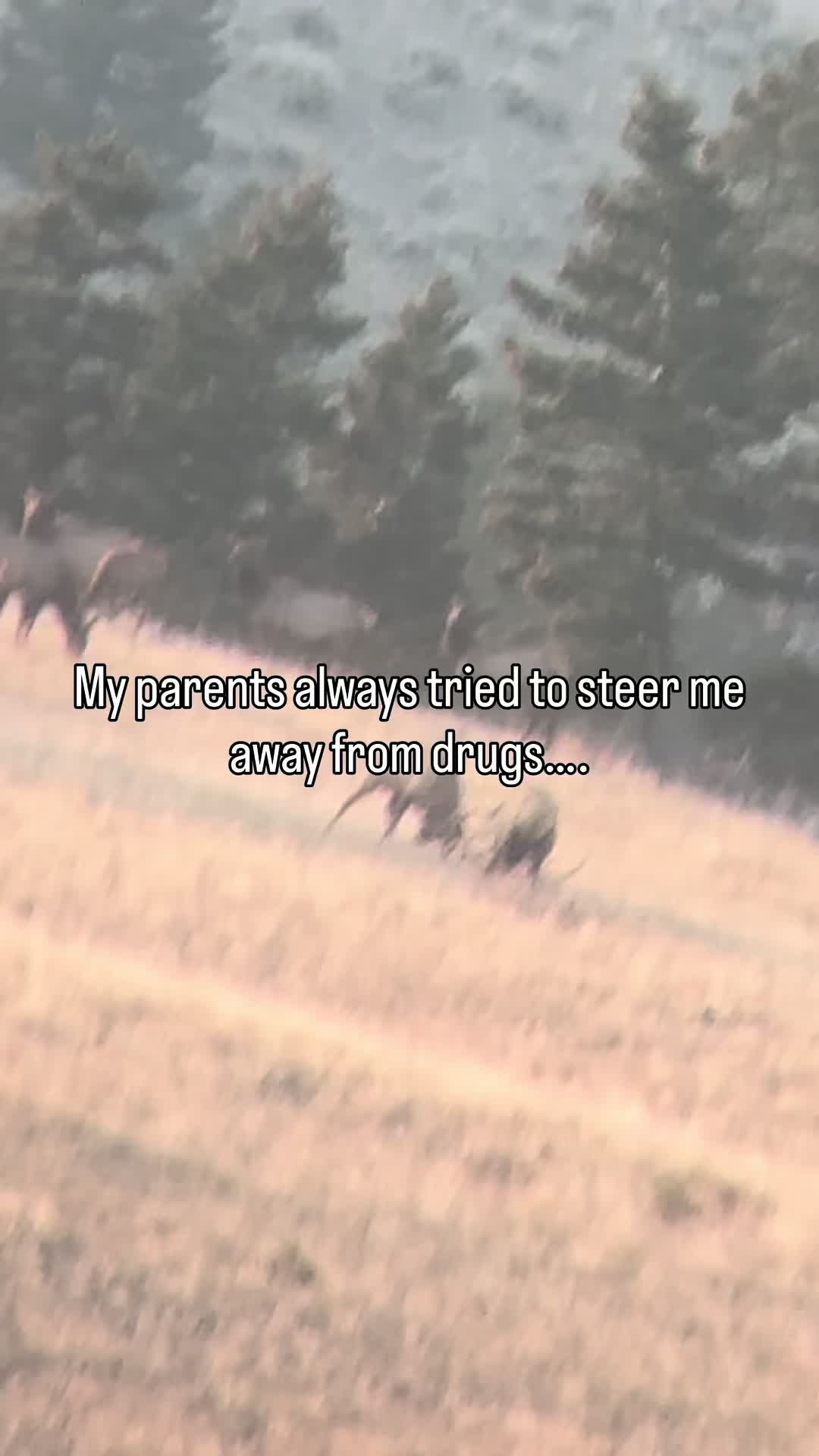 @Montana Tines