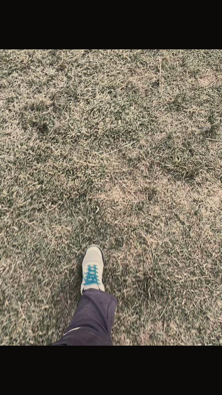 @H A S I B