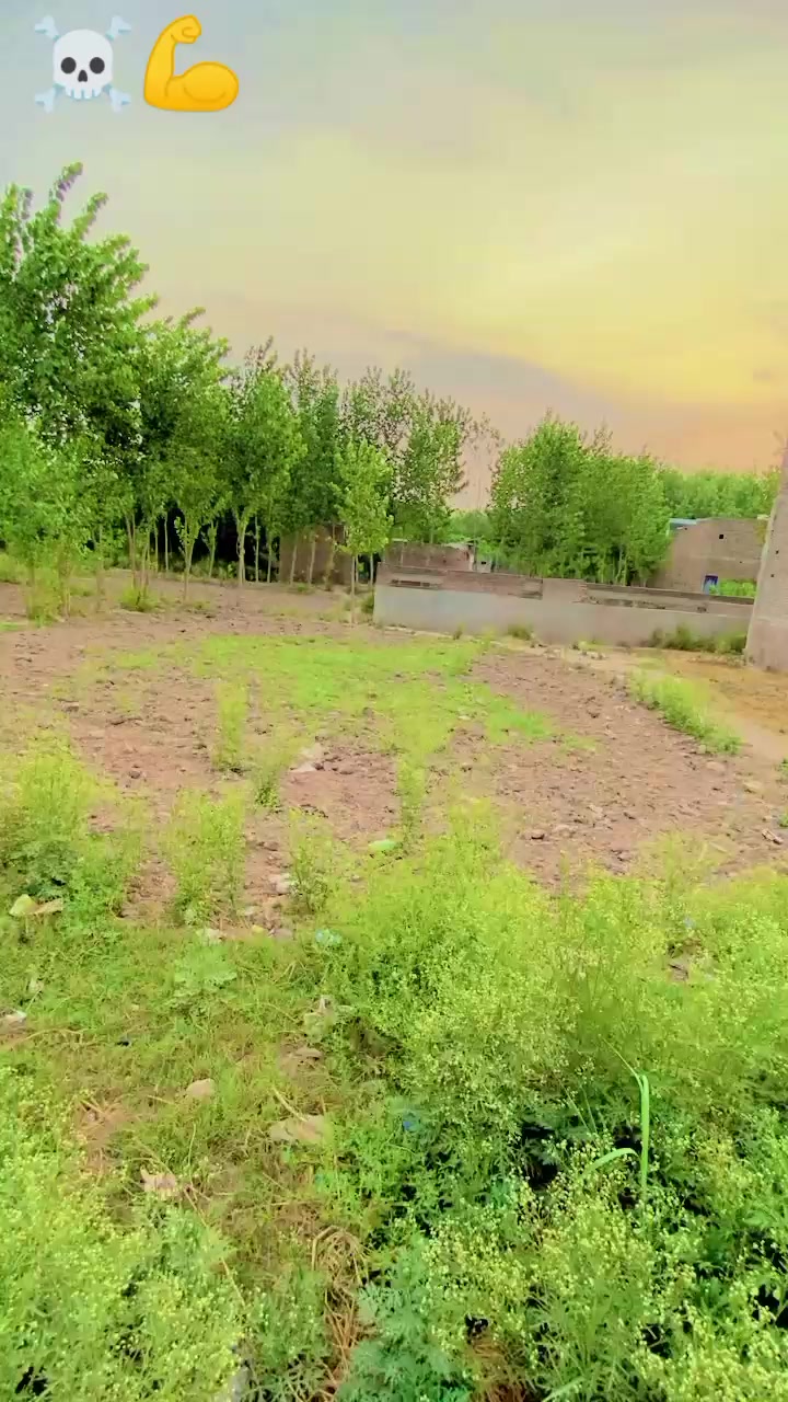 @kashiflhan12