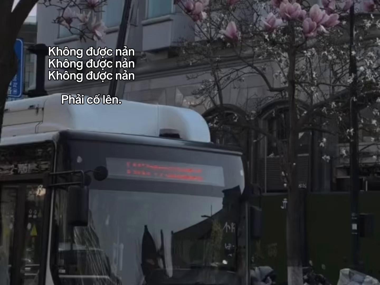 @𝙥𝙧𝙞𝙣𝙘𝙚𝙨