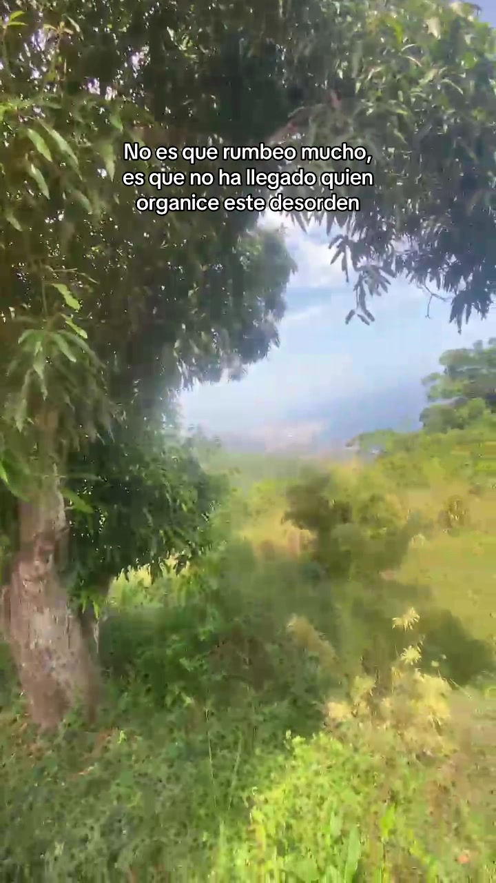 @camdradep