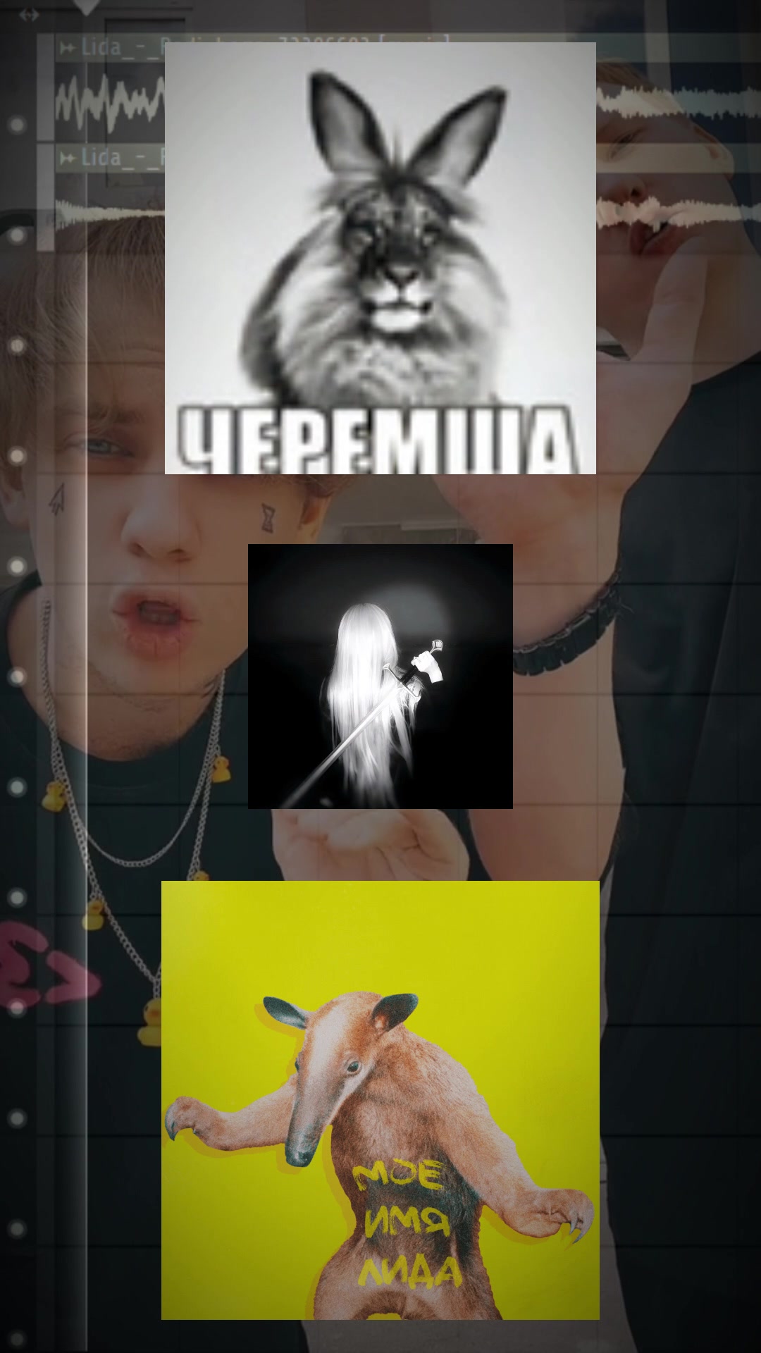 @Merlisc