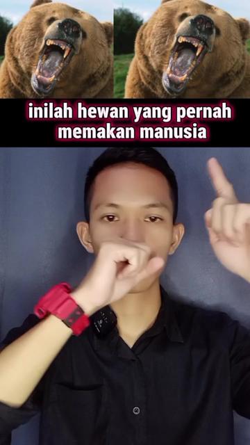 @Fajar Kw