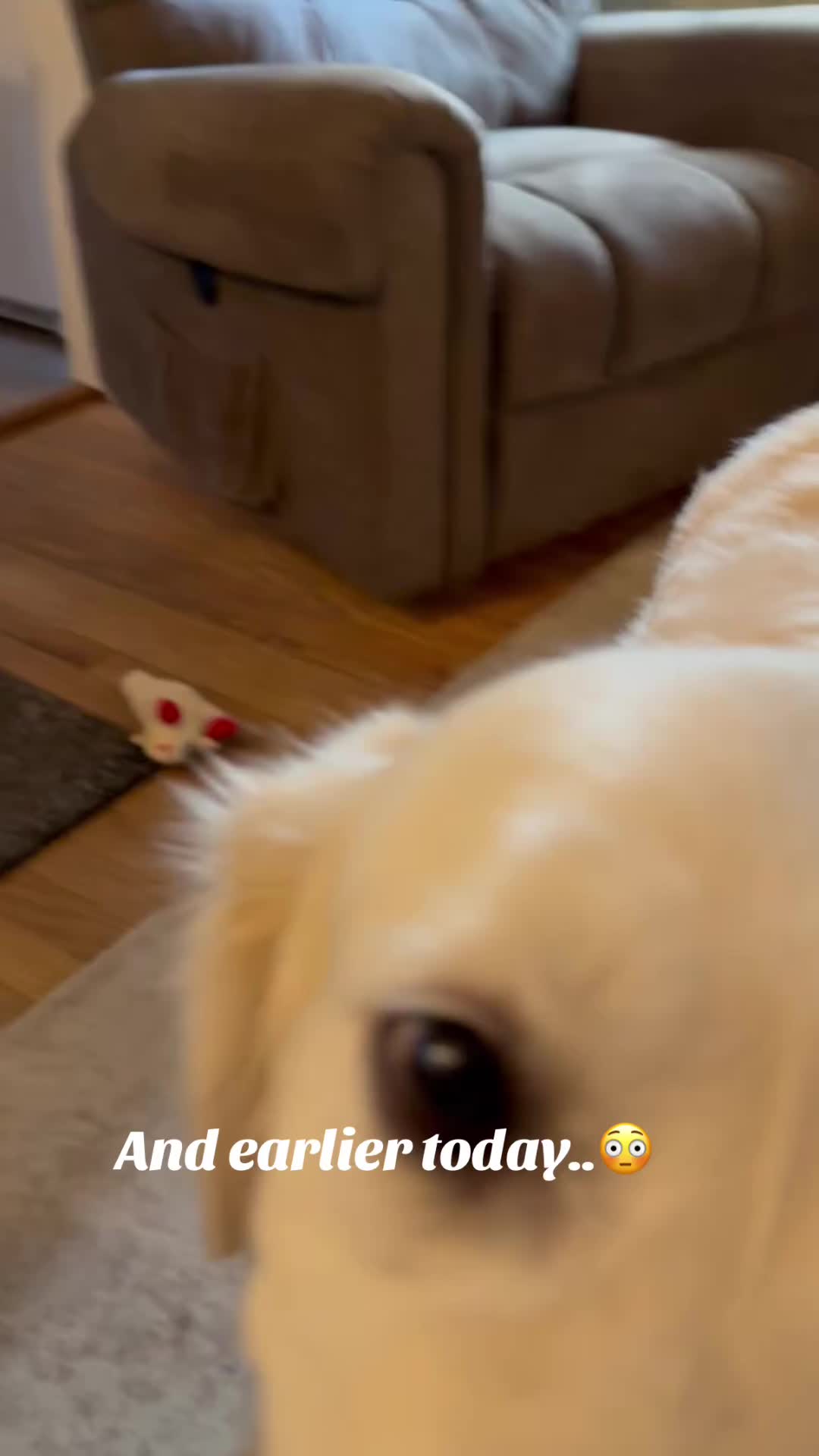 @lifewithduke2025