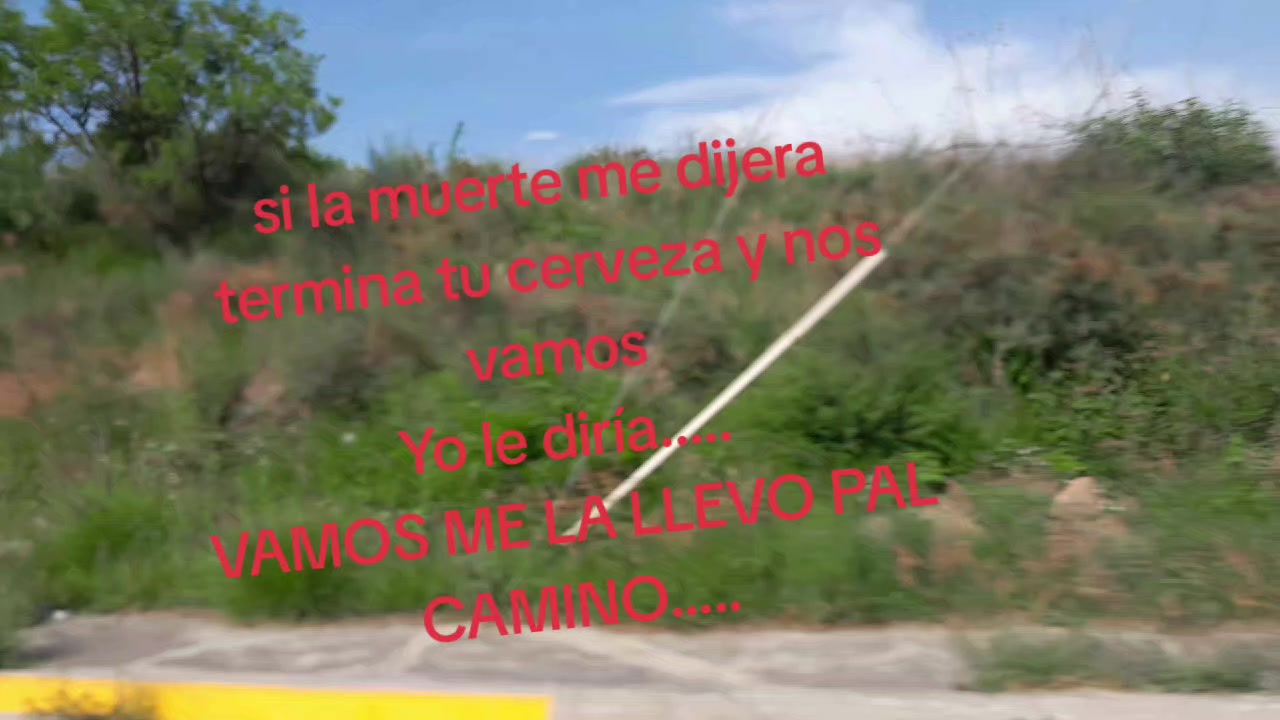 @cachorro 444