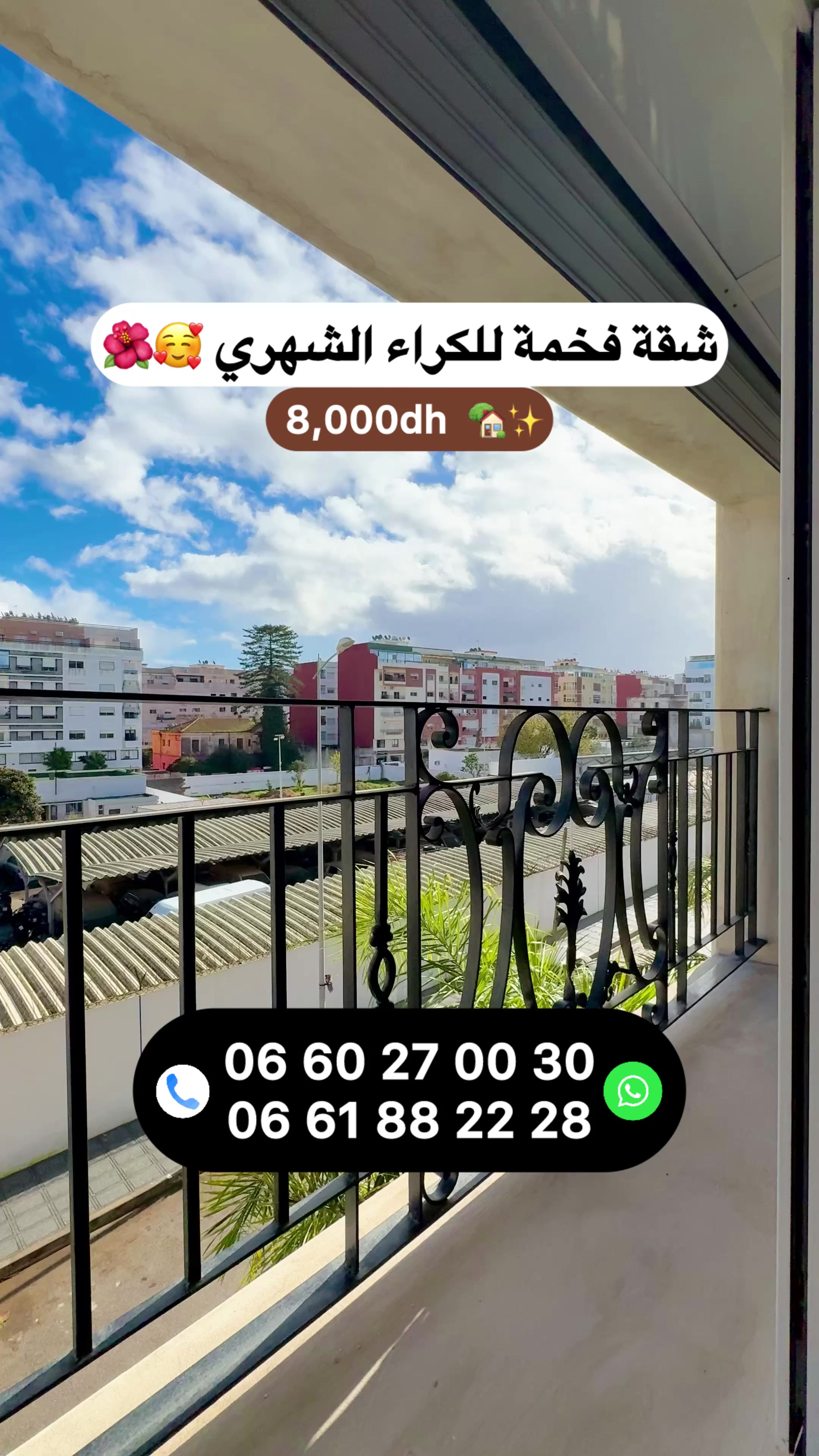 @Zakaria Haddad 🇲🇦🇵🇸