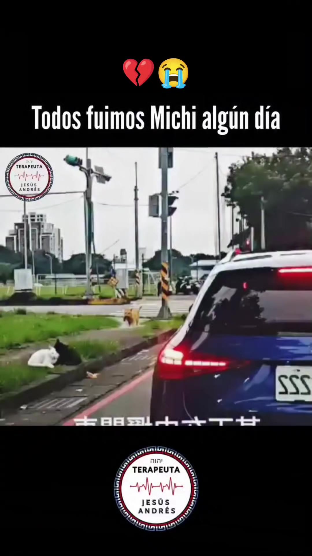 @Terapeuta Jesús Andrés