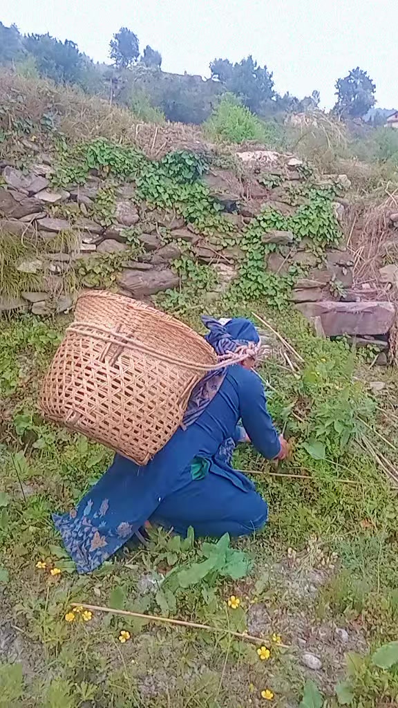 @स्मृति रोकाया"प्रेमाश्रु"💞