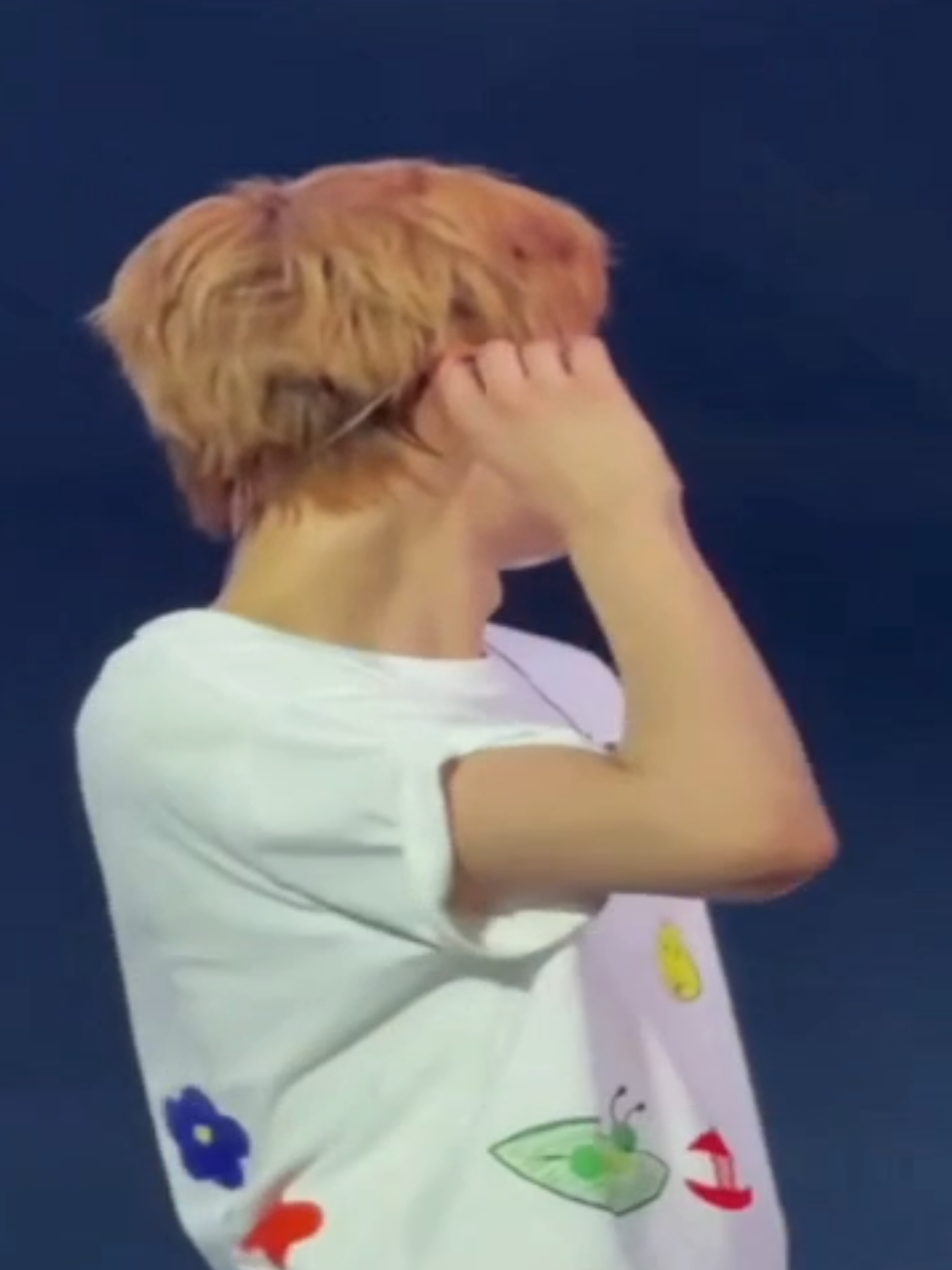 @luu݁ ˖Ი𐑼⋆